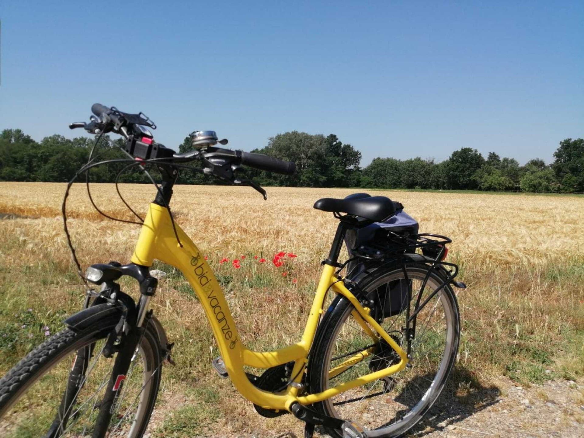 Trekking Bike (Unisex)