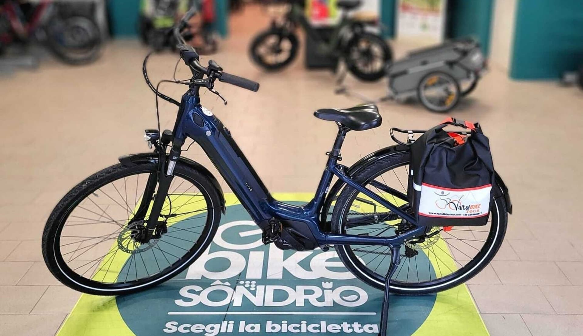 Trekking E-Bike