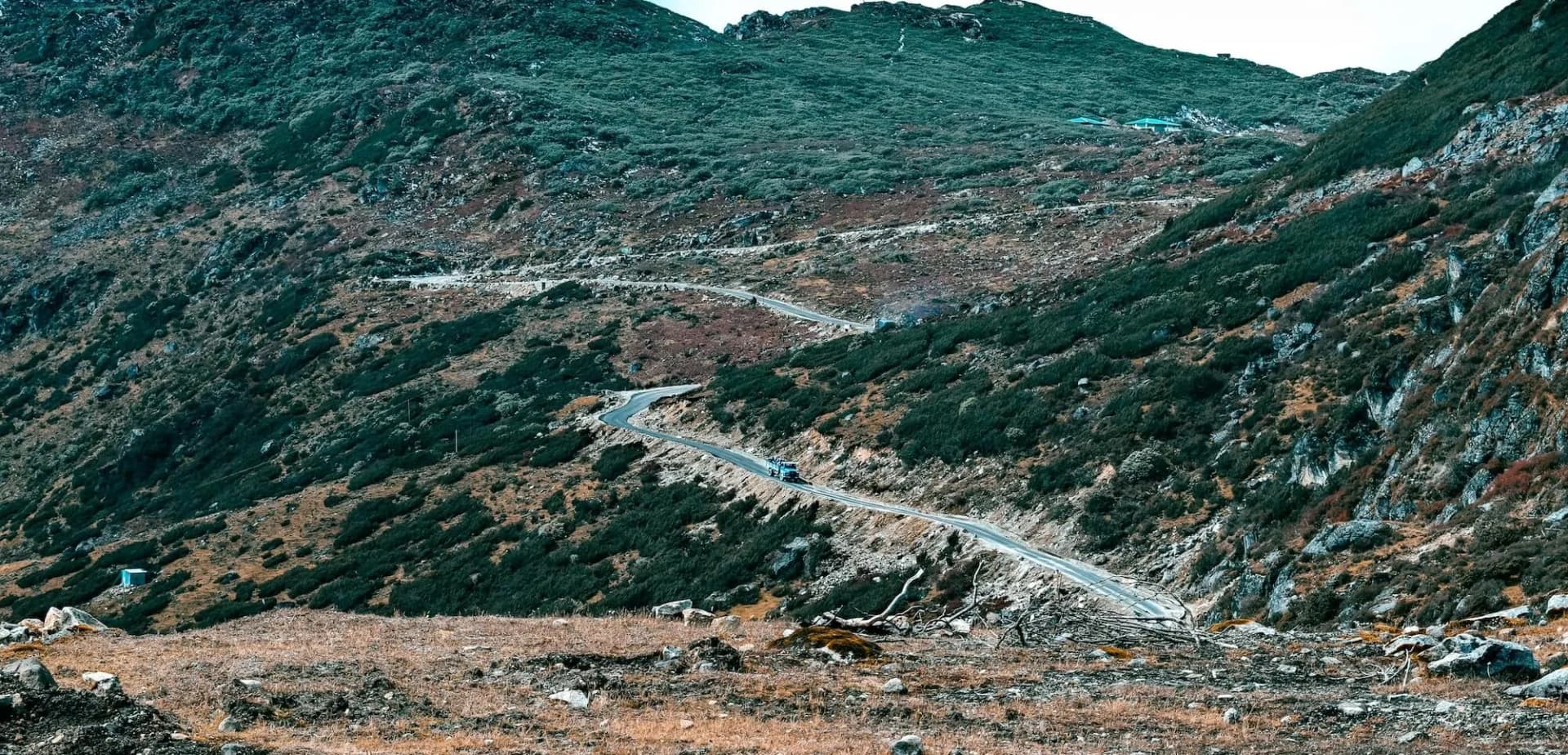 diverse landscape