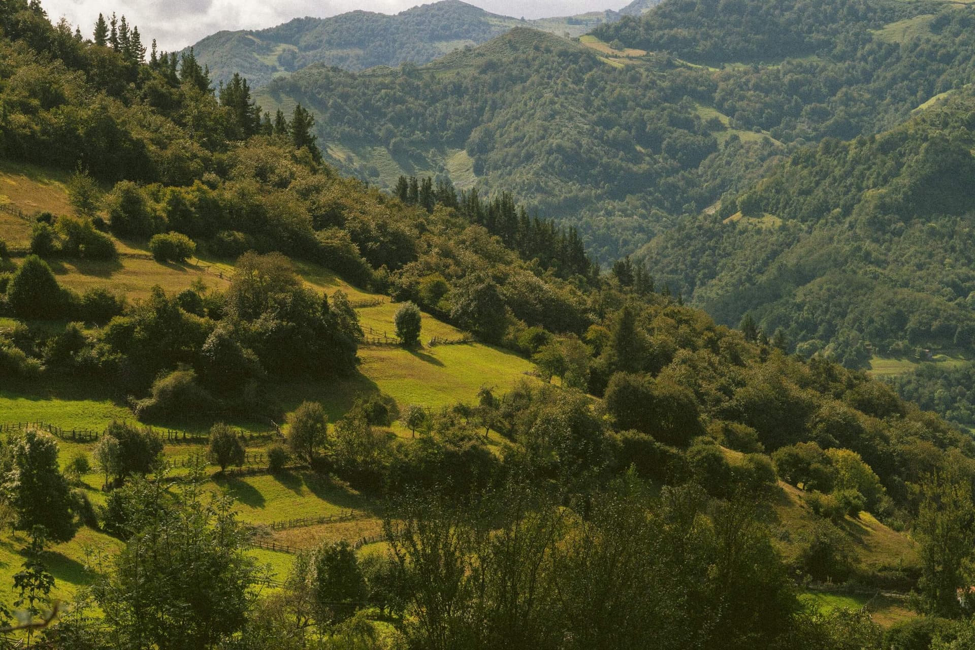 Boutique bike tours in Asturias