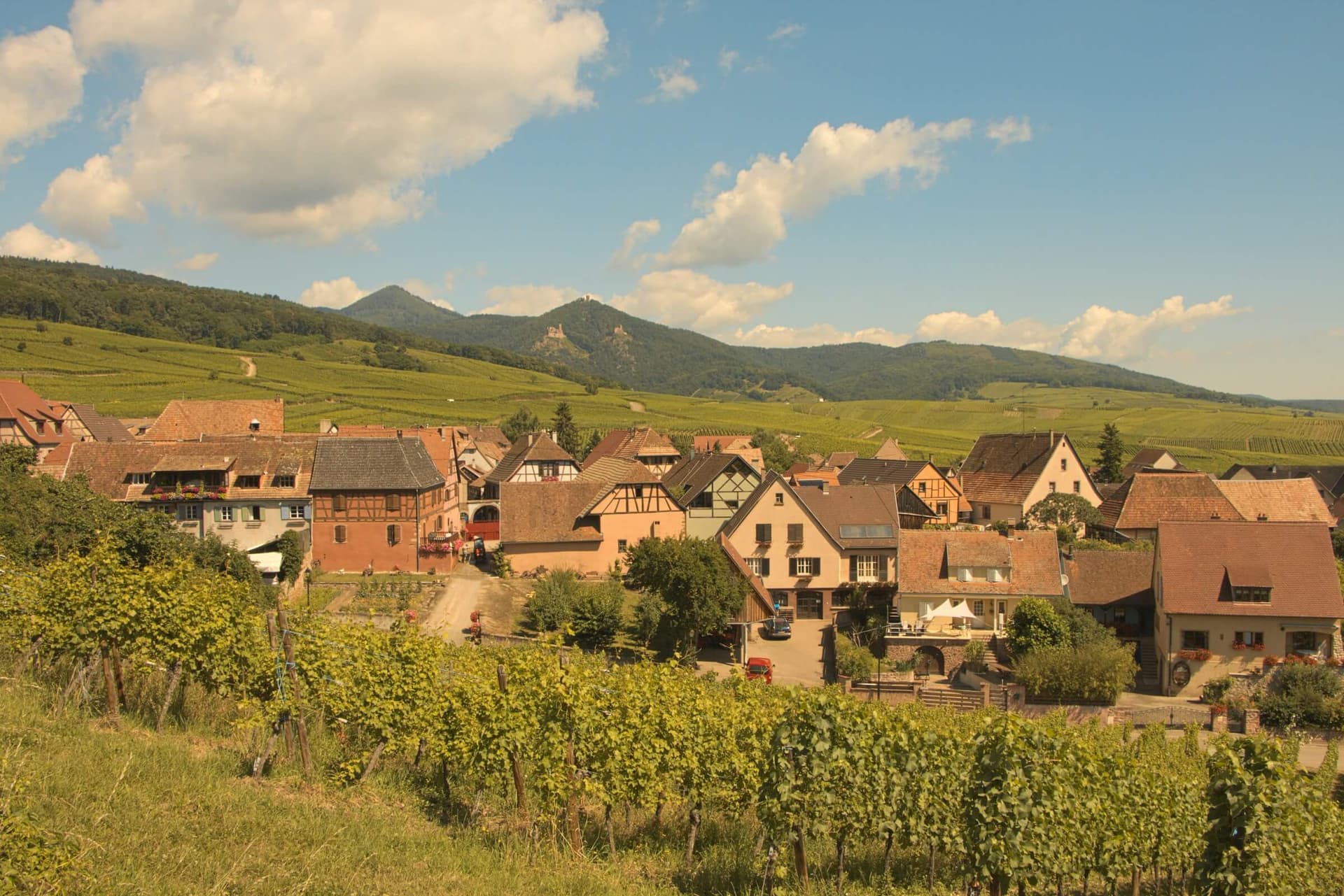 Boutique bike tours in Champagne