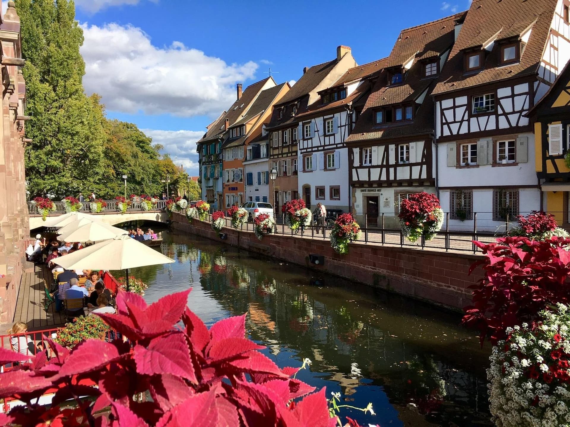 Iconic Alsace Wine Route