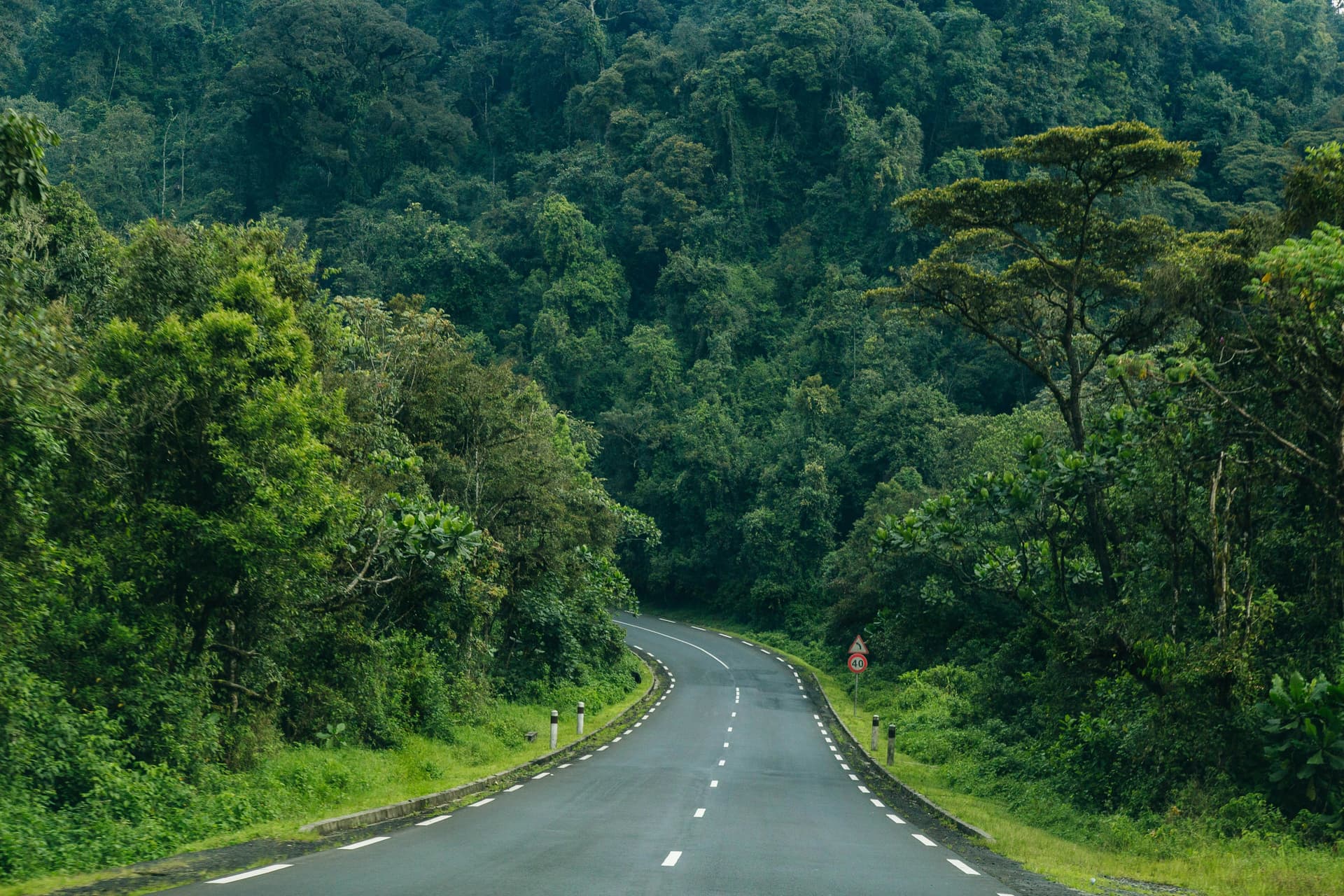 Picture for The Complete Guide to Cycling Rwanda article