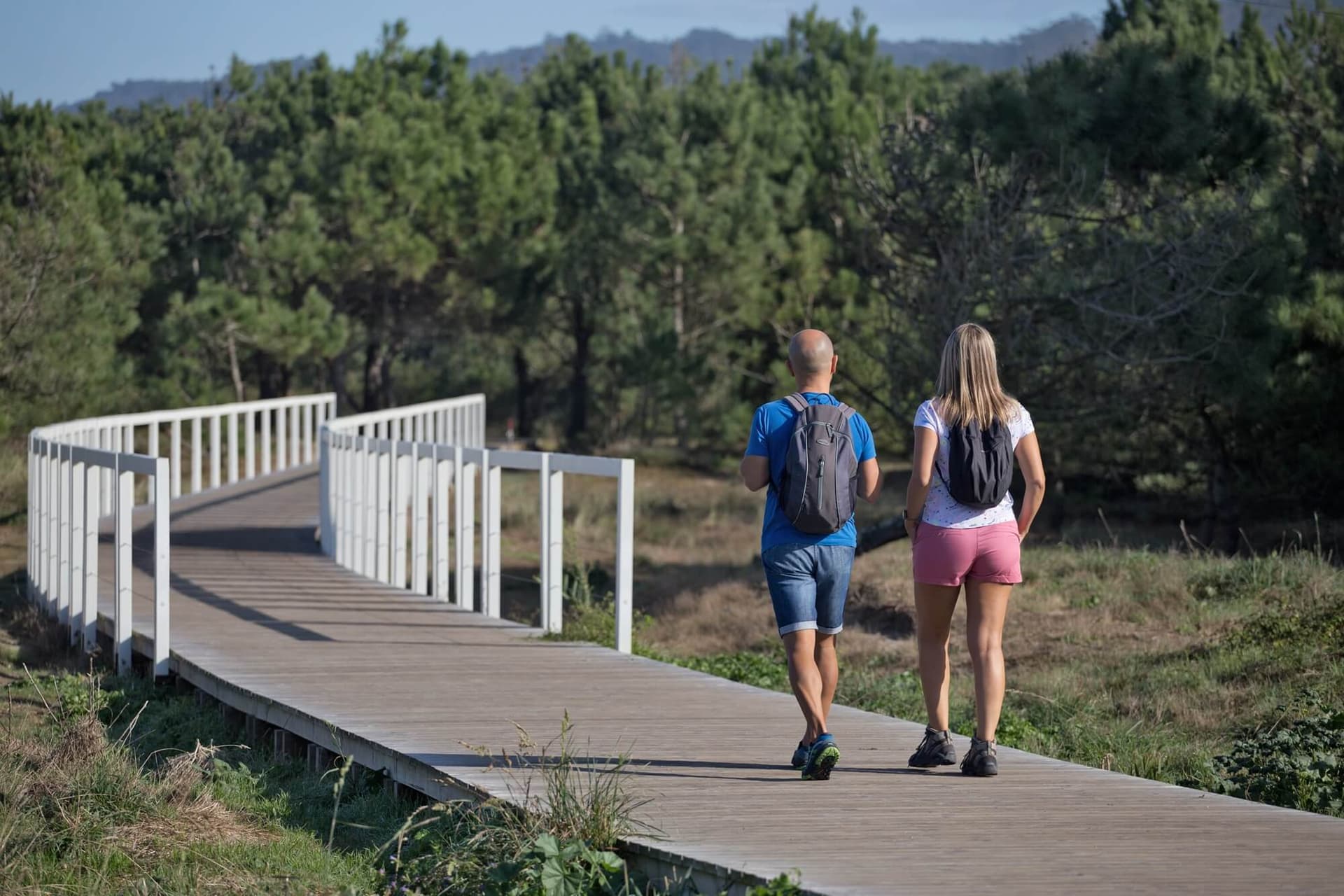 Viana do Castelo and Santa Luzia Hill