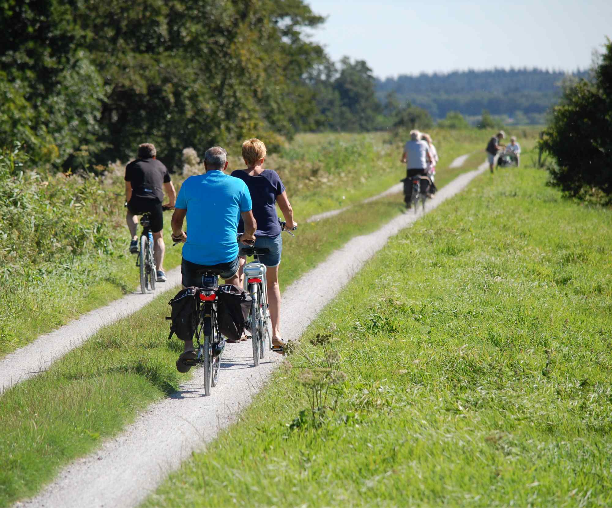 Cycling Through the Green Heart of Holland