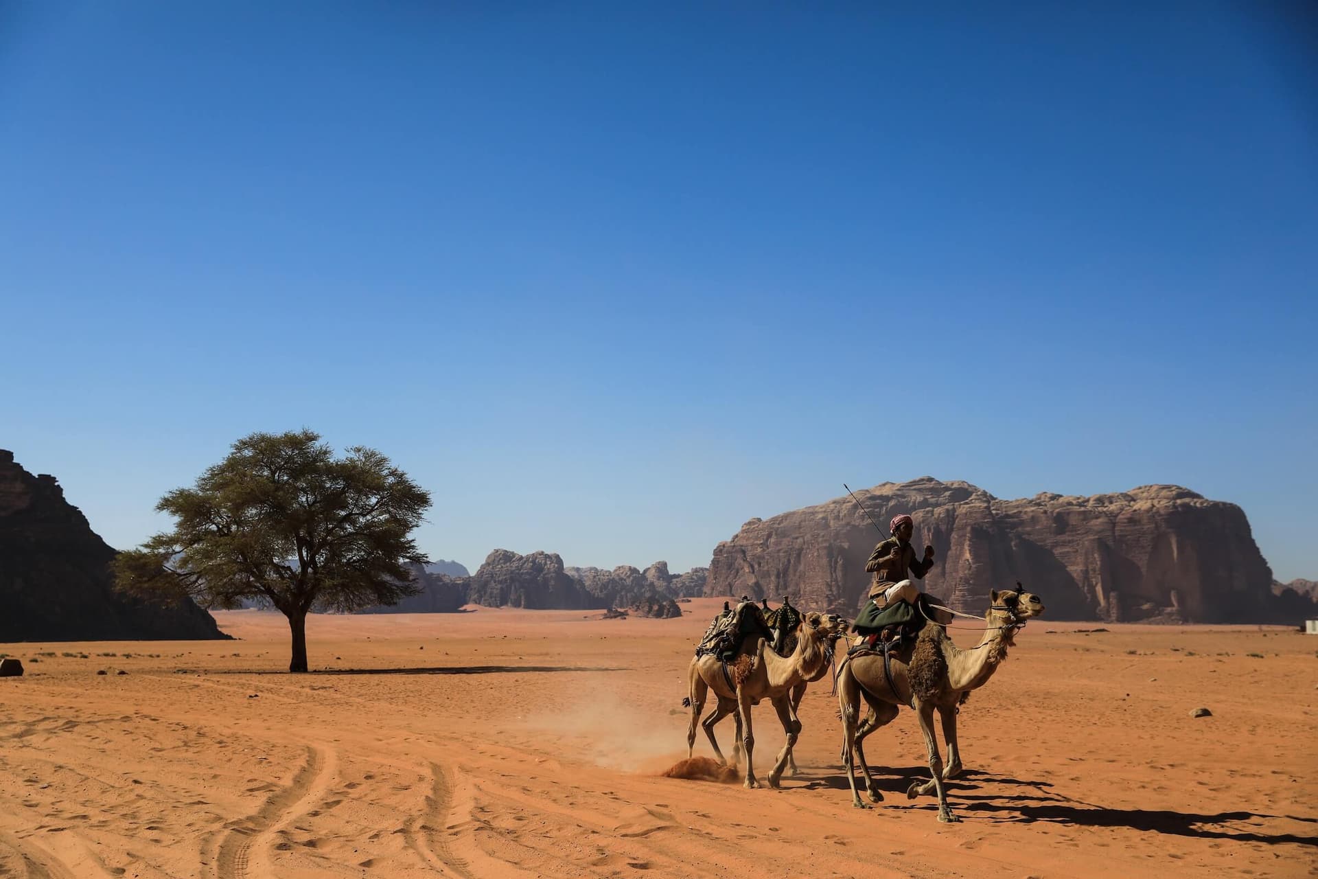 landscape of the Wadi Rum