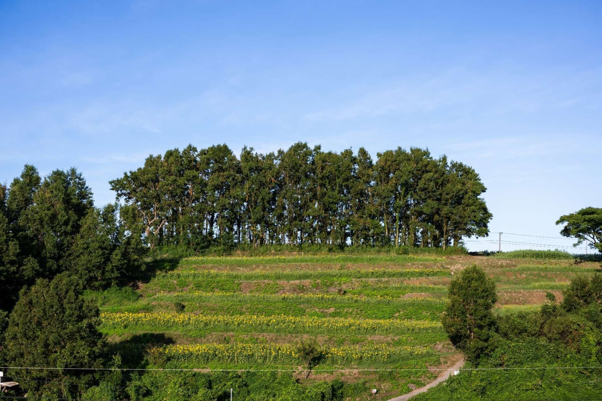 Itinerary Image