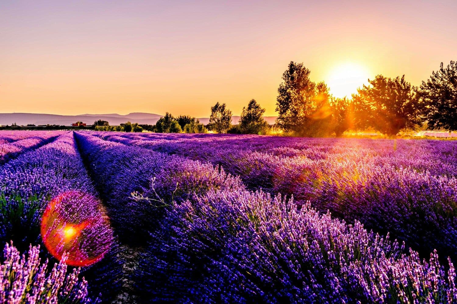Boutique hiking & walking tours in Provence