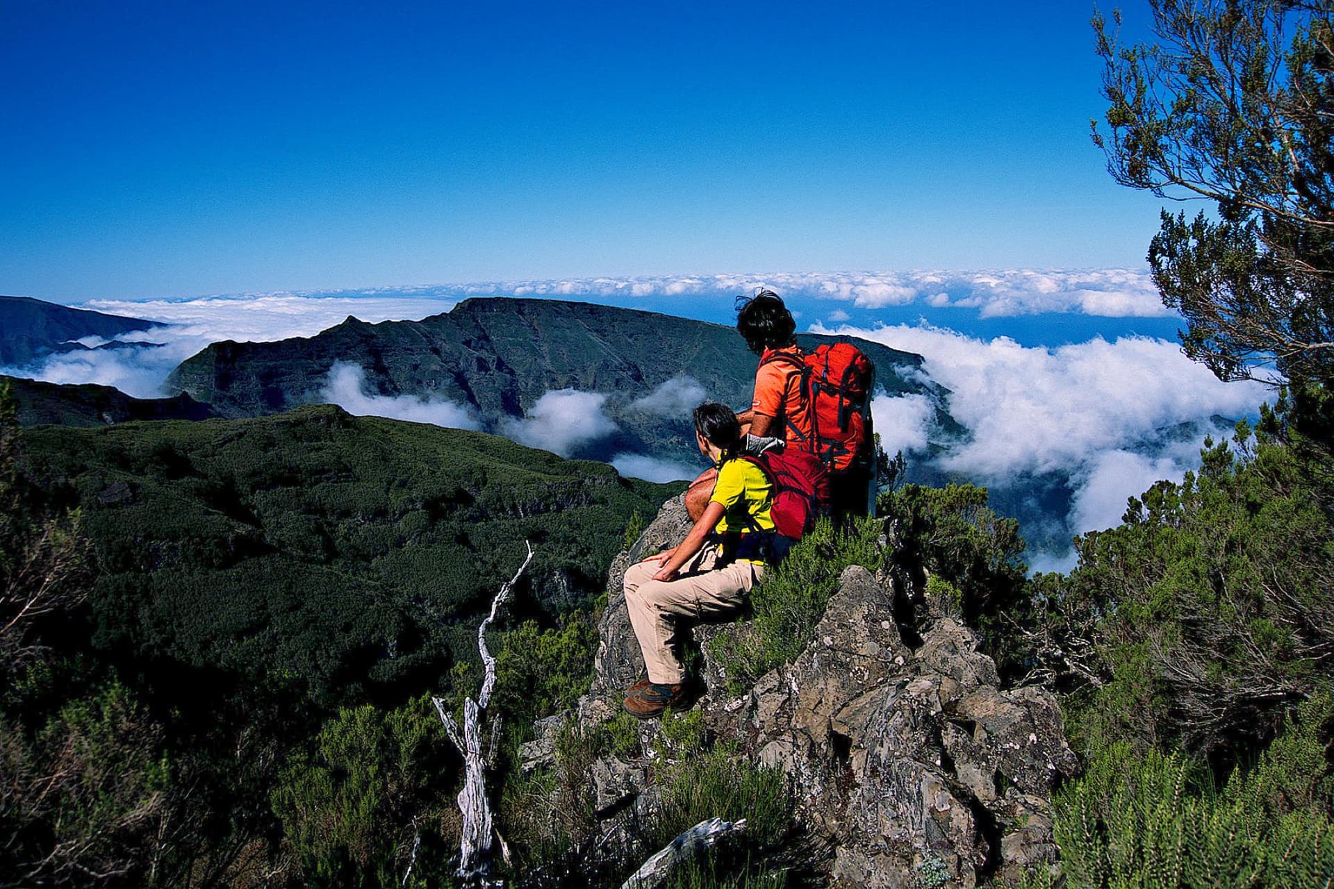 Boutique hiking & walking tours in Madeira