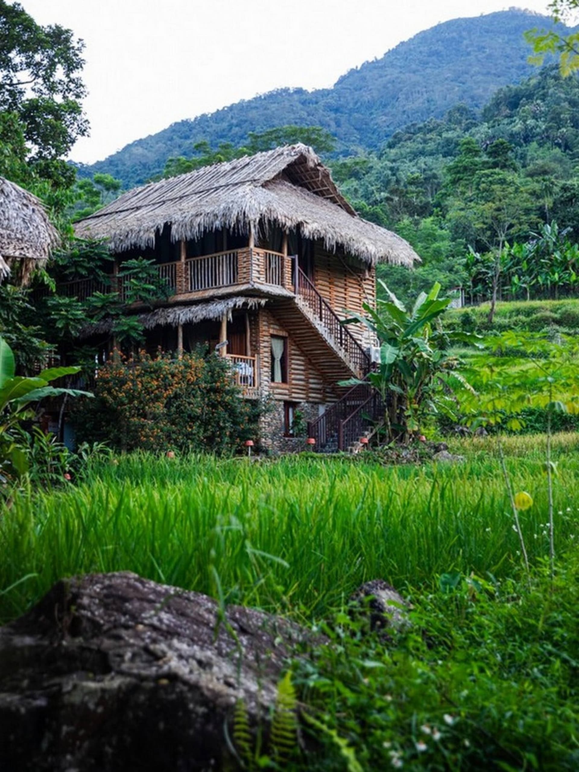 Pu Luong Jungle Lodge (4-star)