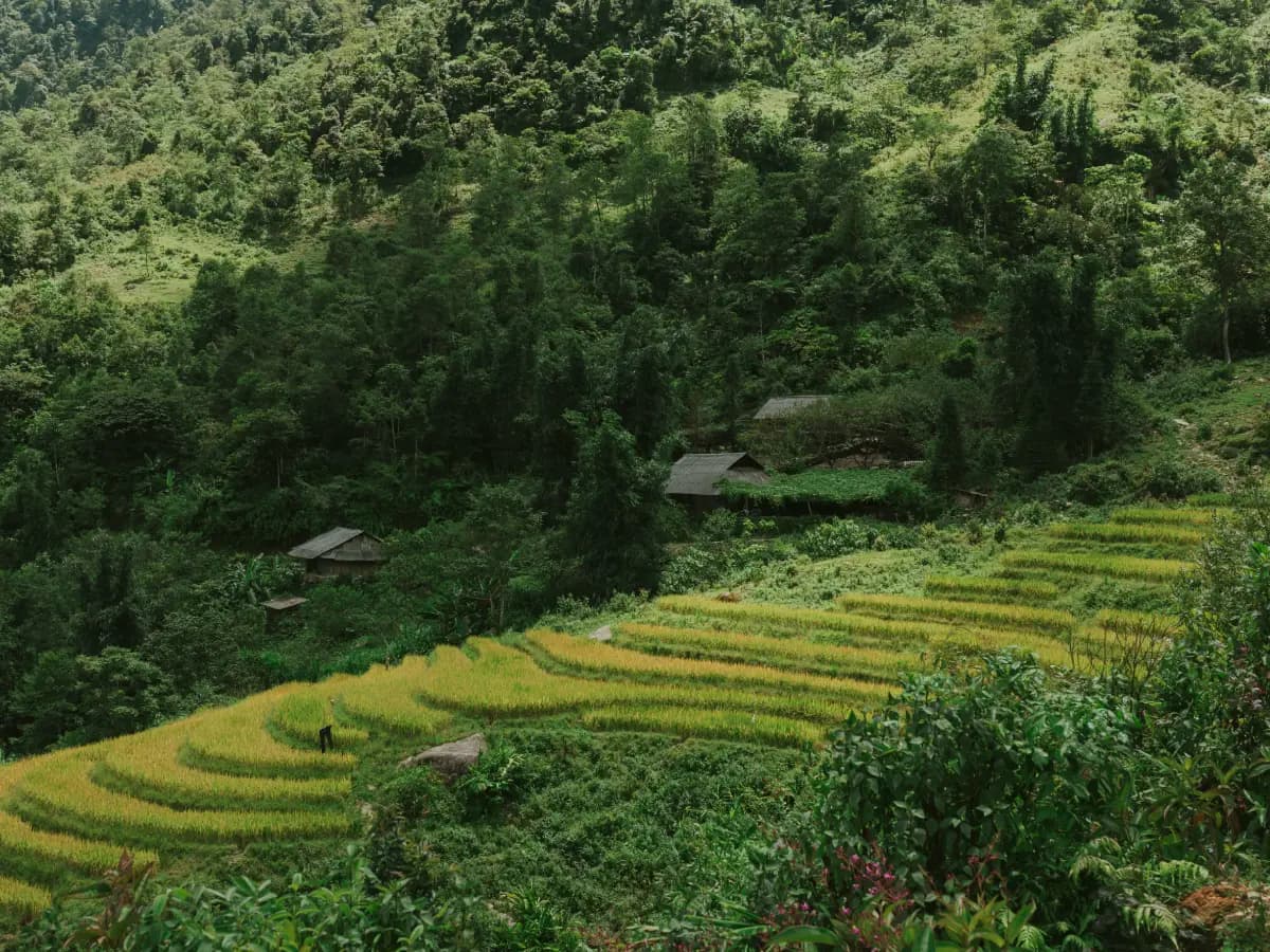Pu Luong Nature Reserve Adventure