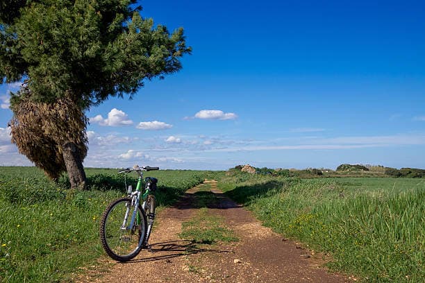 Picture for The Complete Guide To Cycling Puglia article