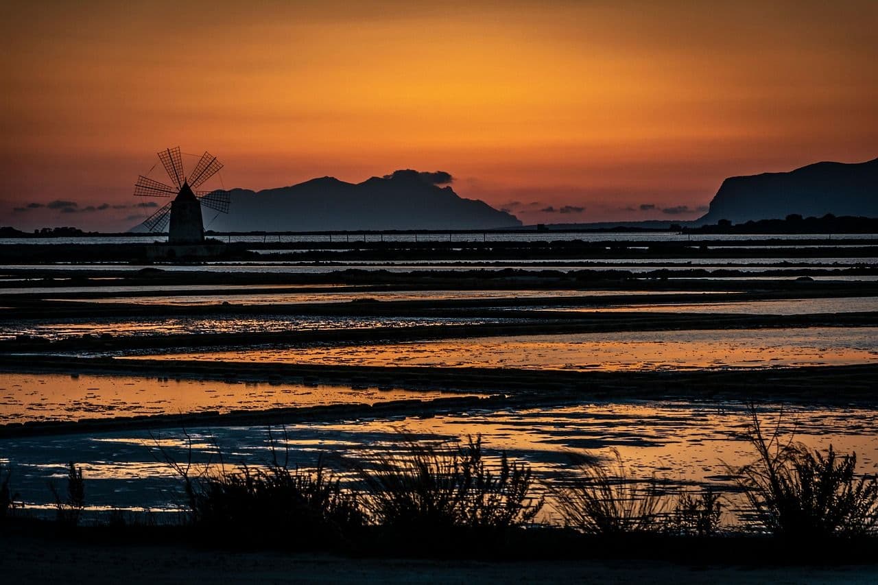 Salt, Wine & Seaside Culture