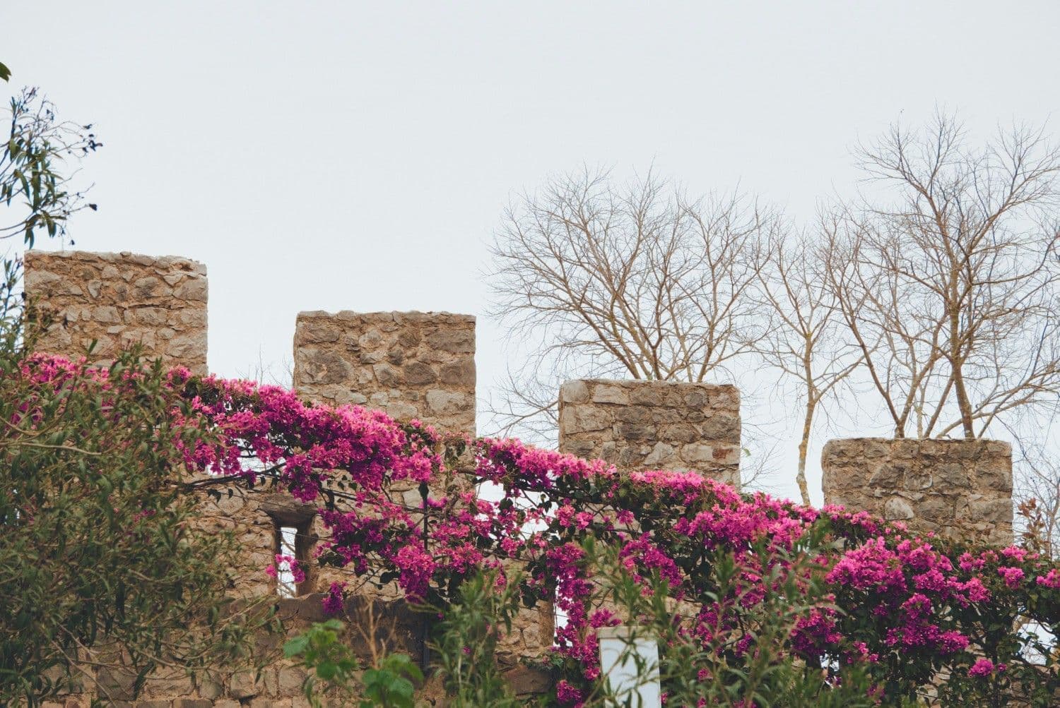 Itinerary Image