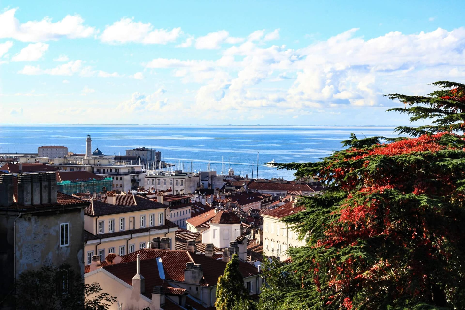 Boutique bike tours in Adriatic Coast