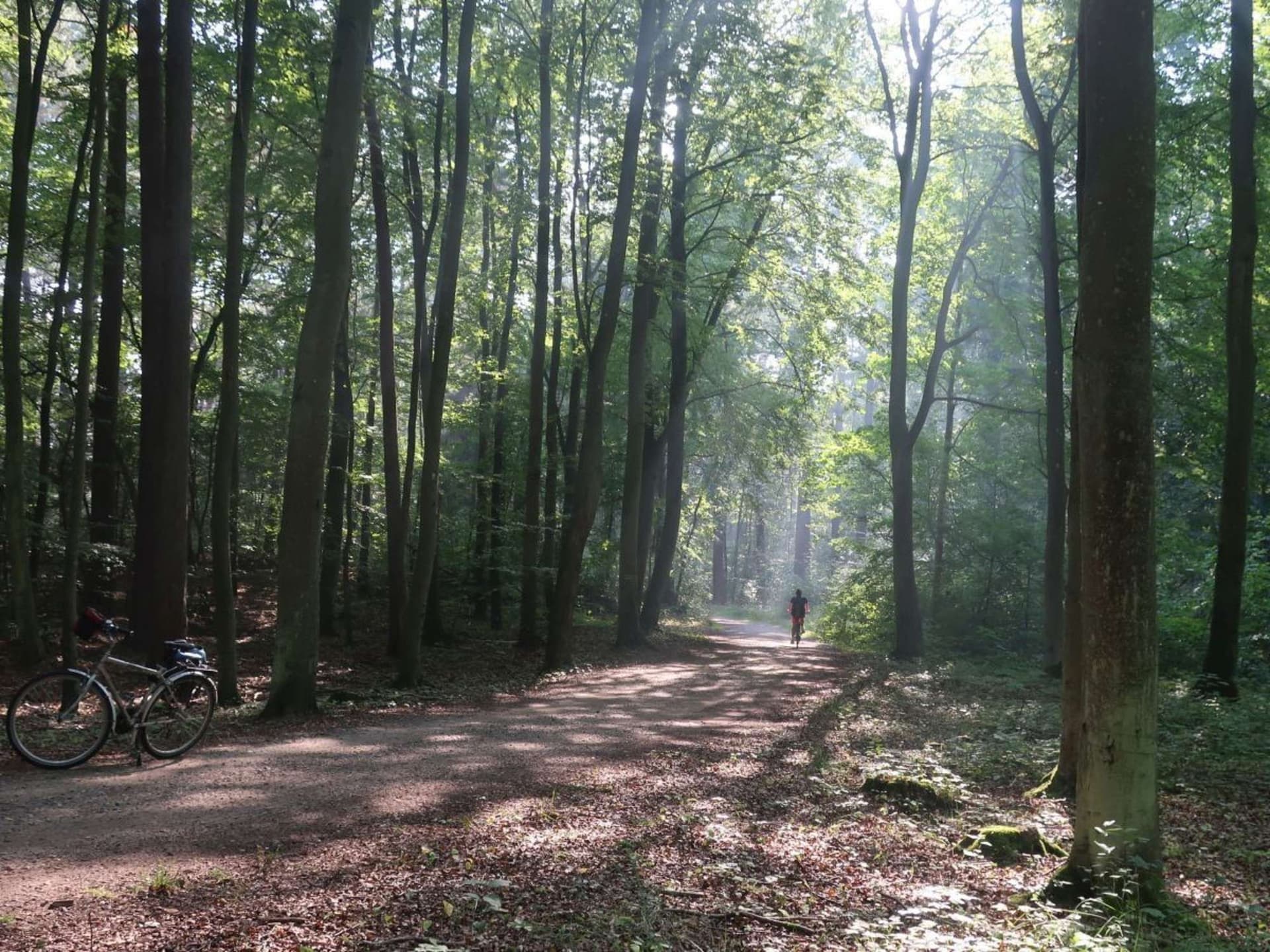 Explore Nature Parks and Lakes