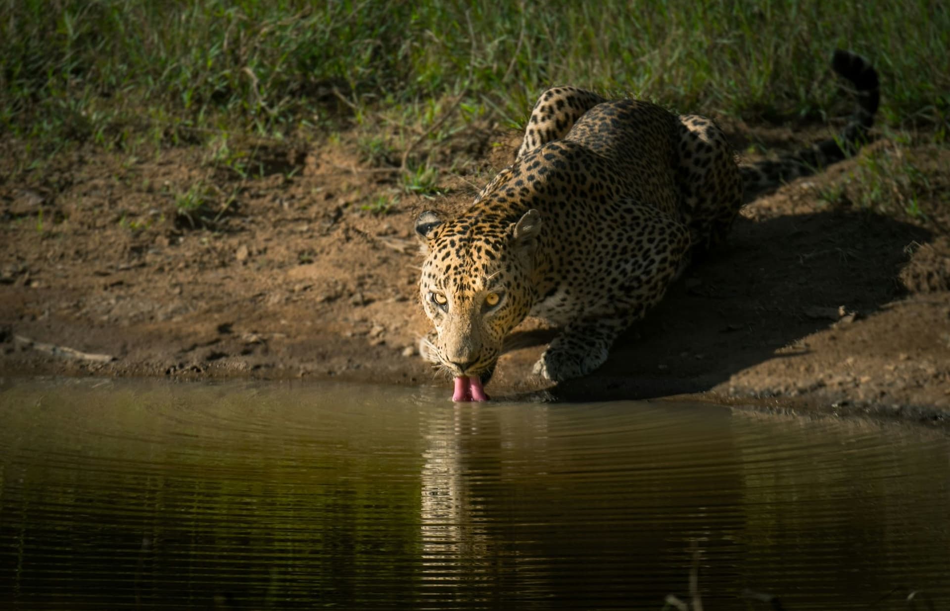 Sri Lanka's Diverse Landscapes