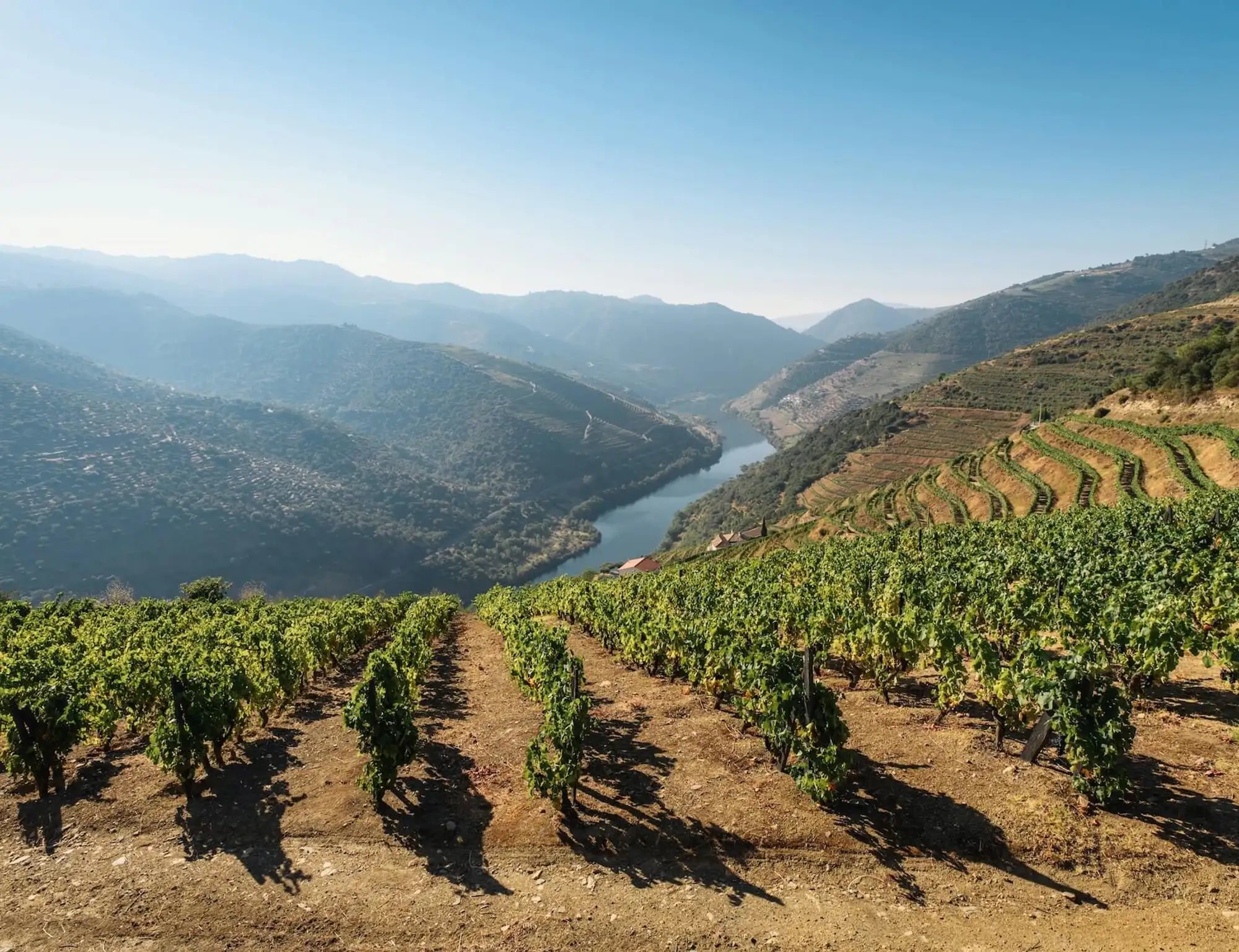 Self-guided Porto & Douro Valley Bike Tour