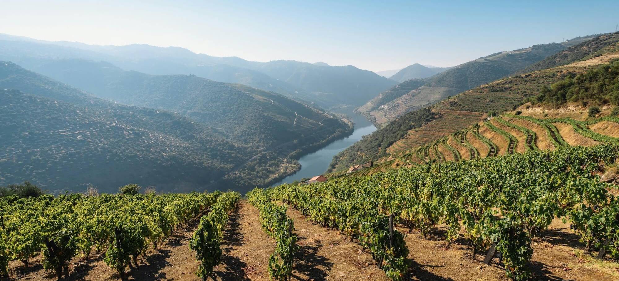 Portugal_Douro (1)