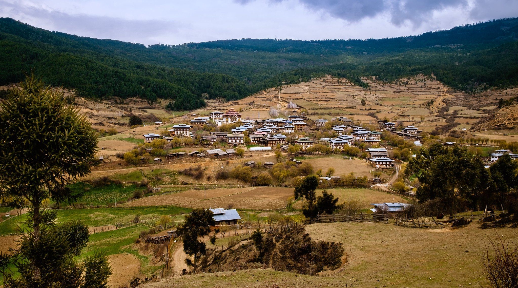 bhutan Ura valley