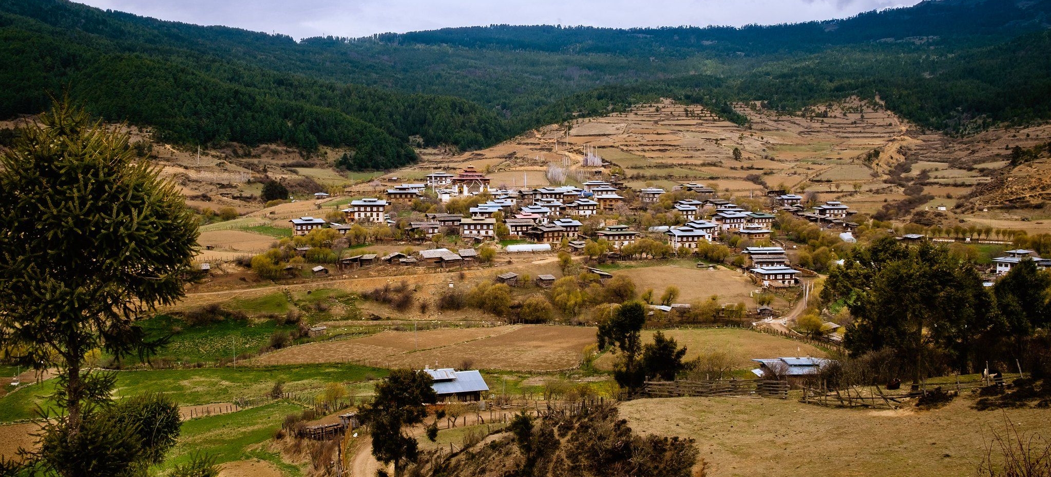 bhutan Ura valley