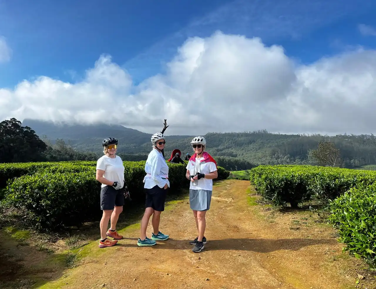 Classic Sri Lanka in Luxury Bike Tour