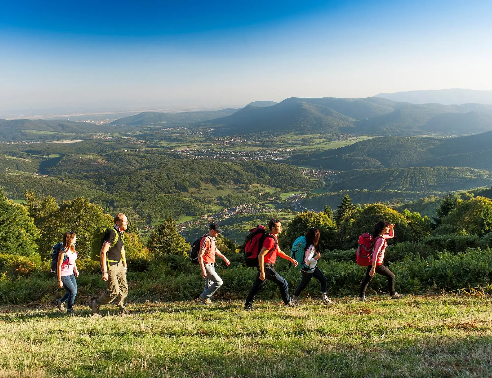  Alsace Plain from Barr to Kaysersberg Hiking and Walking Tour  