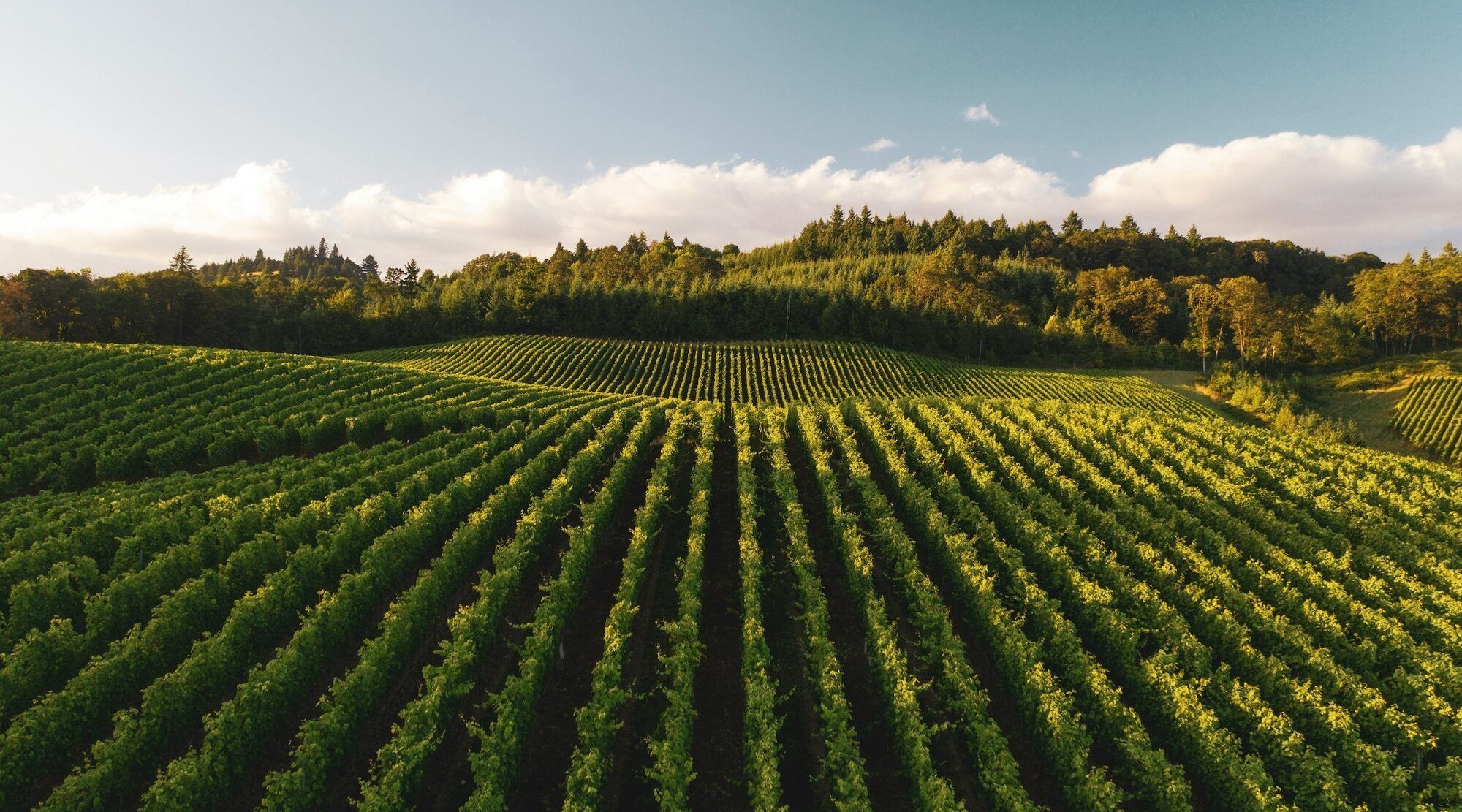 dan meyers 0AgtPoAARtE unsplash (1) (1)
