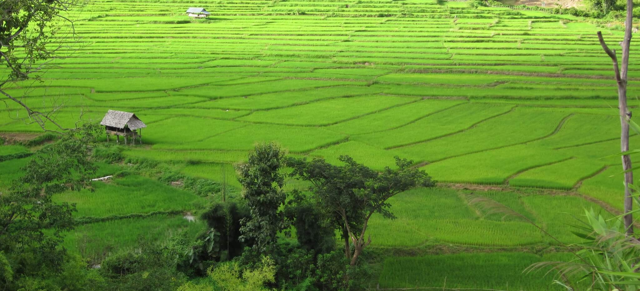 thailand Mae Sariang (1)
