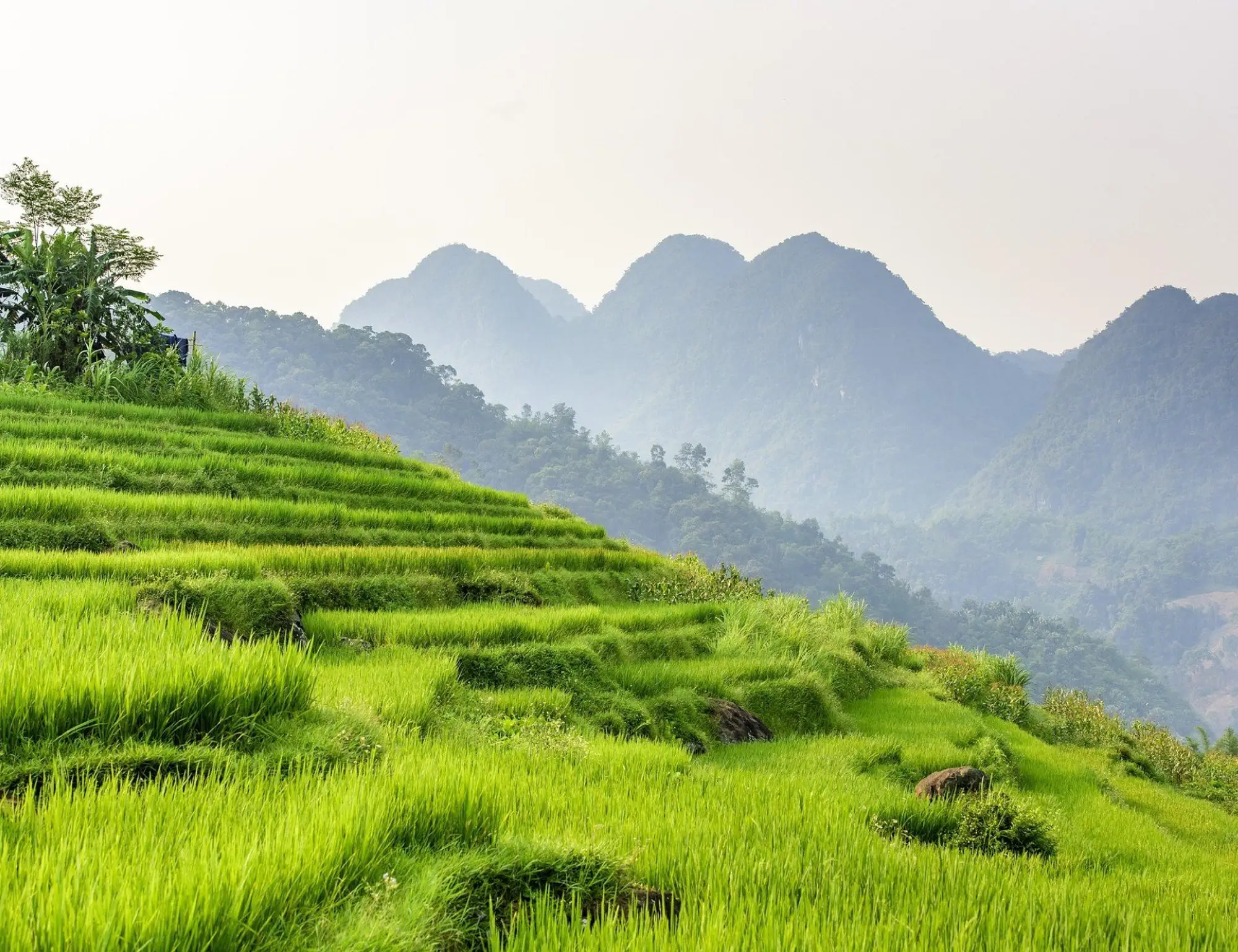 Epic Northern Vietnam Hiking Tour