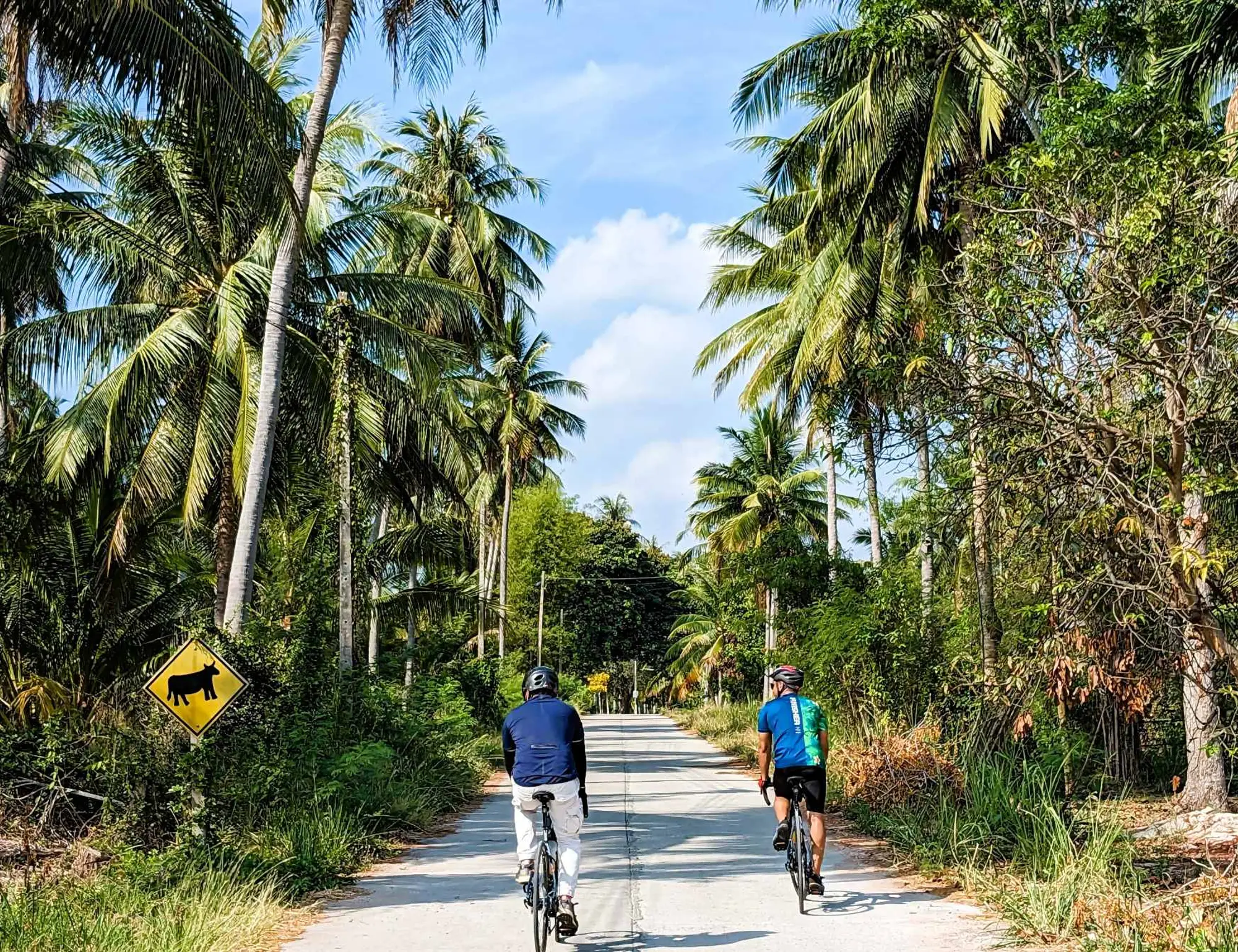 Bangkok to Phuket Bike Tour