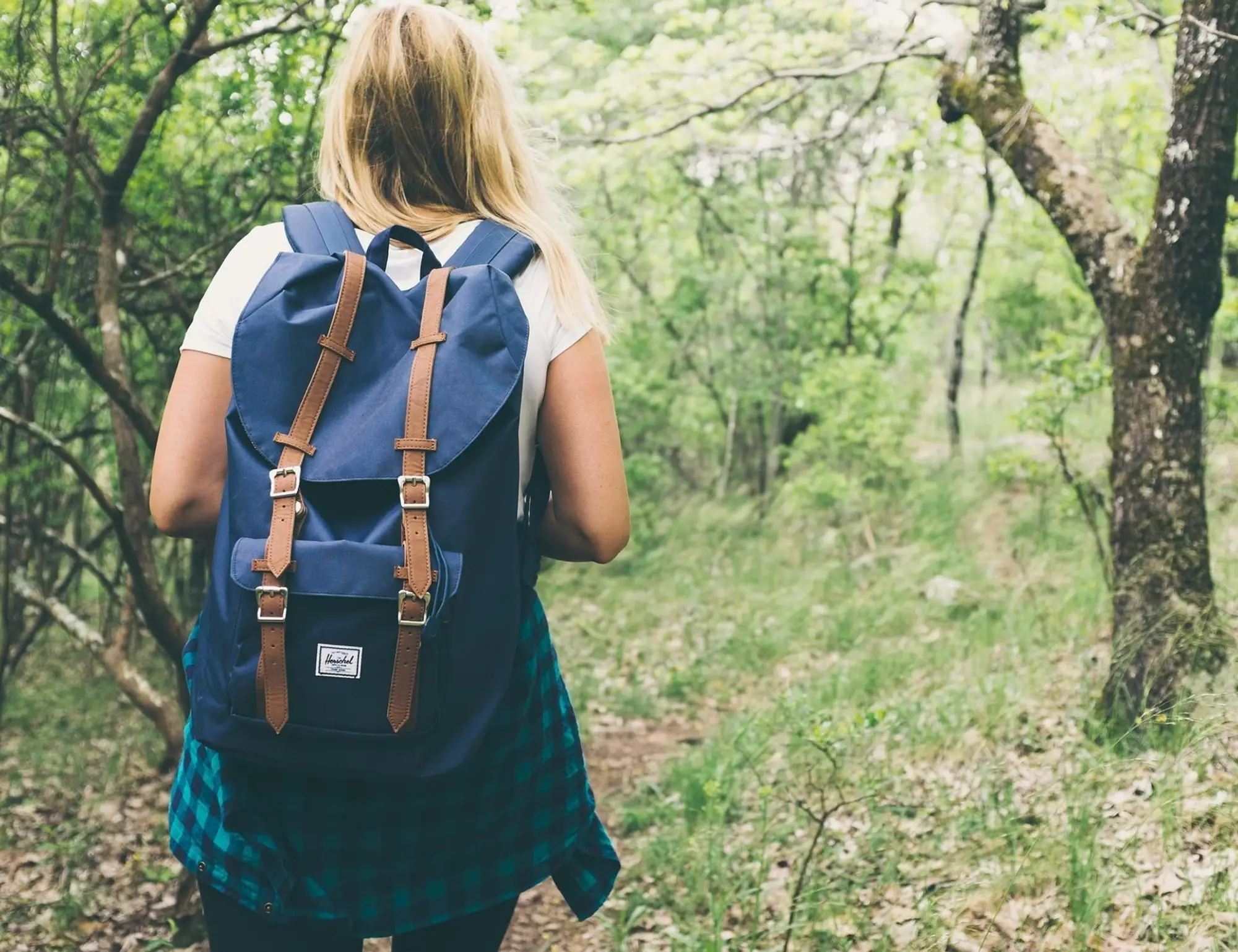 Heart of South Tyrol Hiking Tour