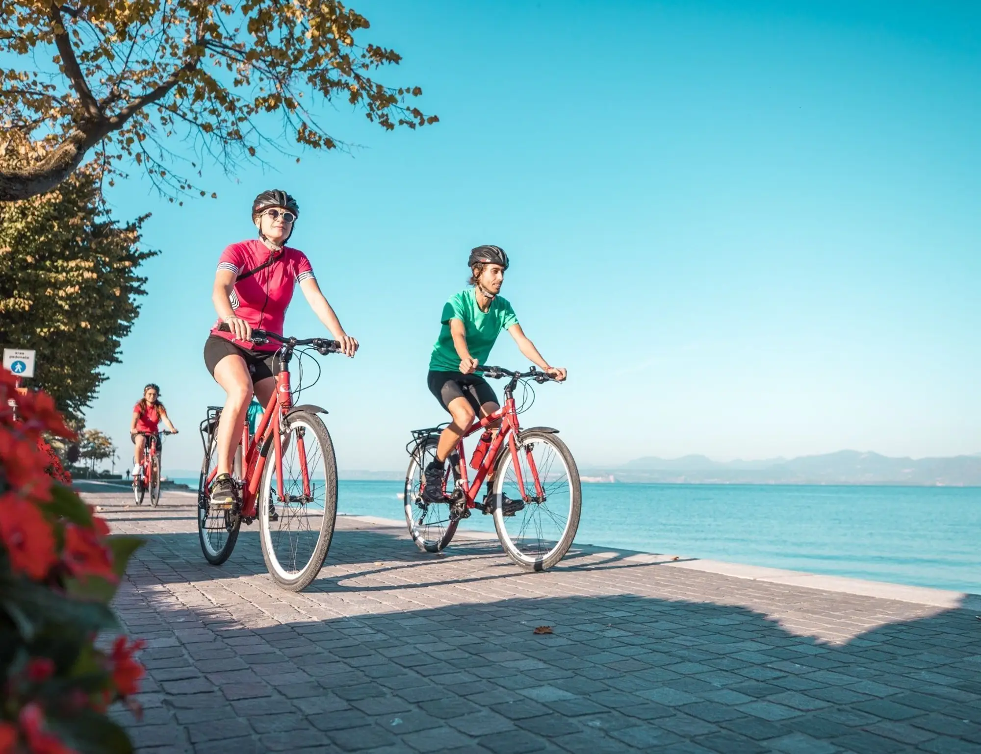 Alps To Lake Garda Verona Bike Tour