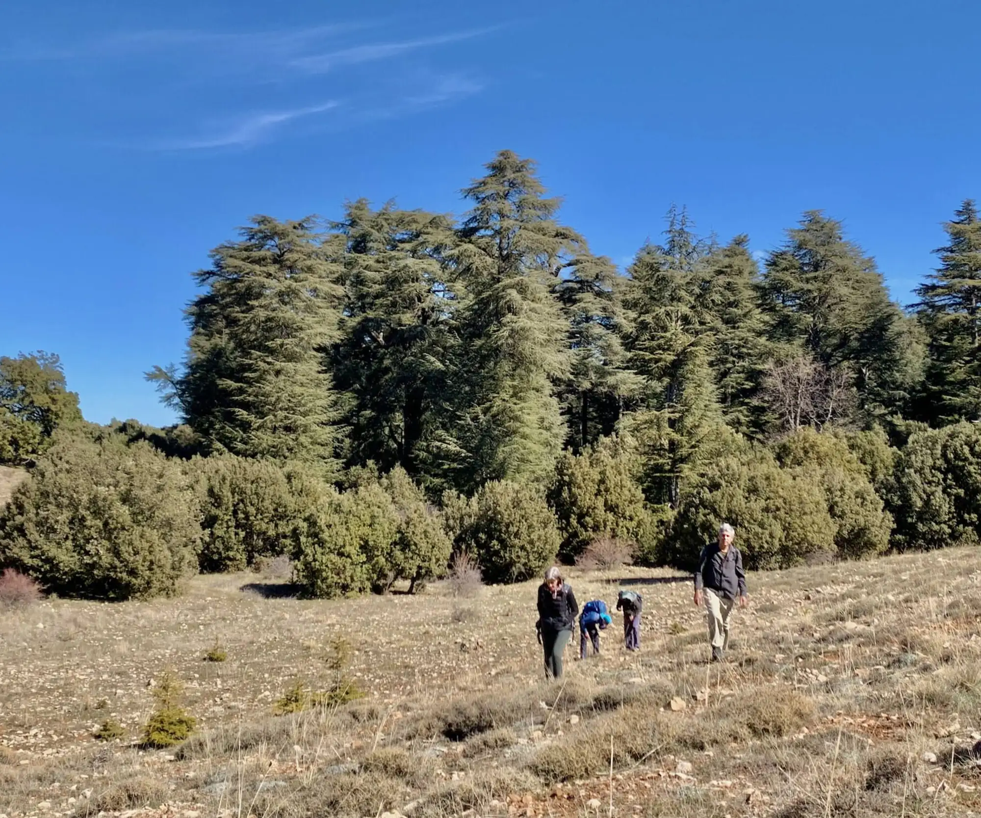 D10 Hike (1)