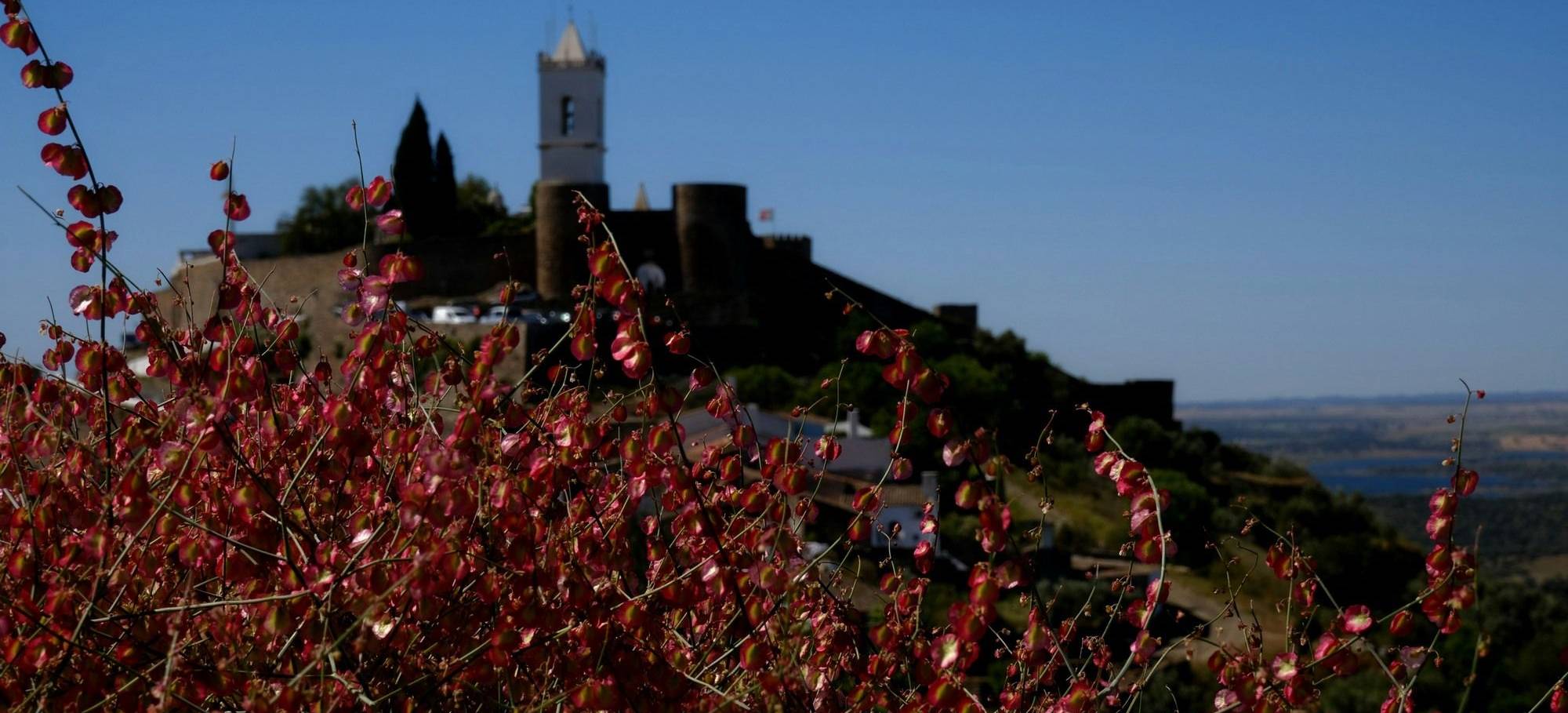 Alentejo (1)