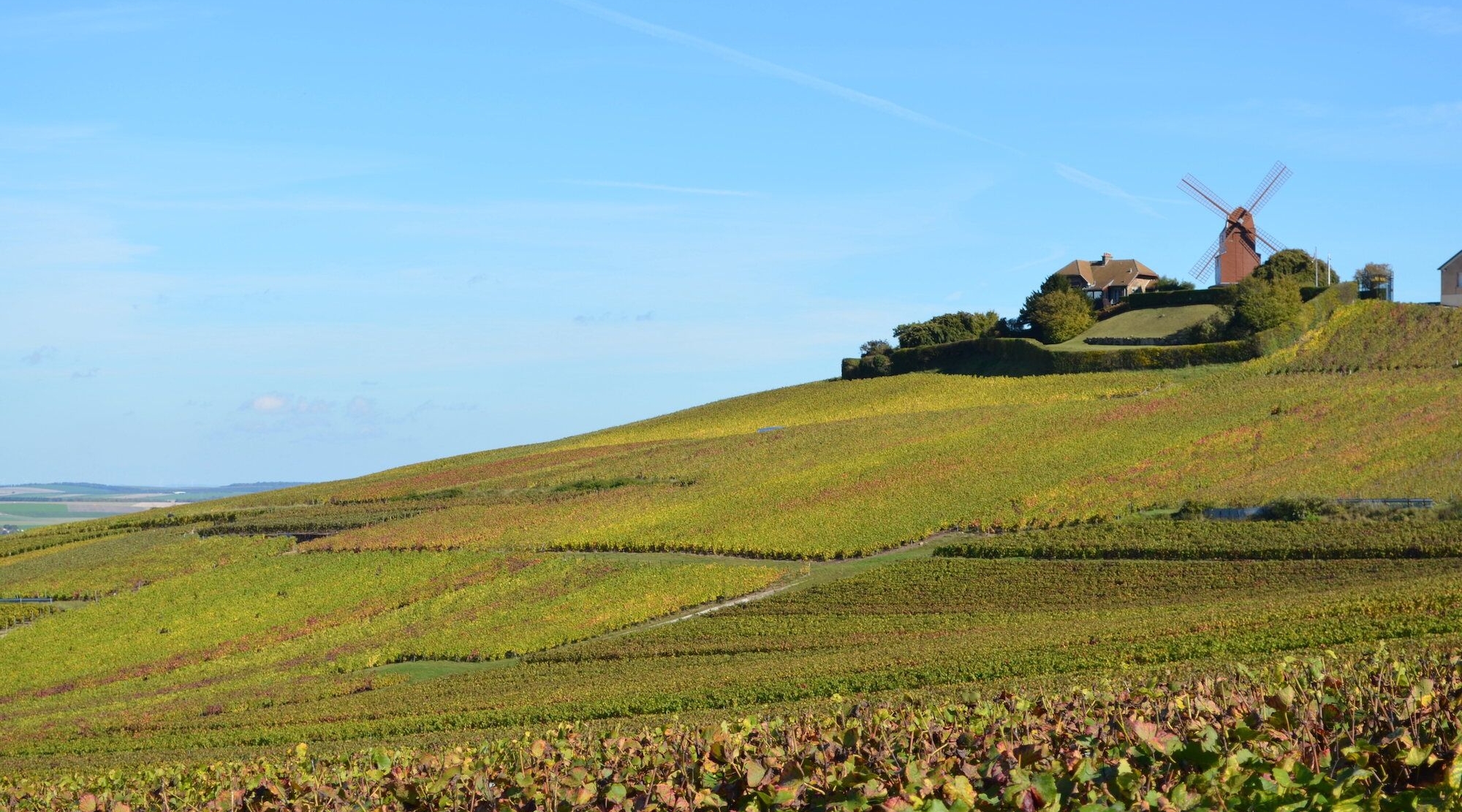 DSC_0122 (1)