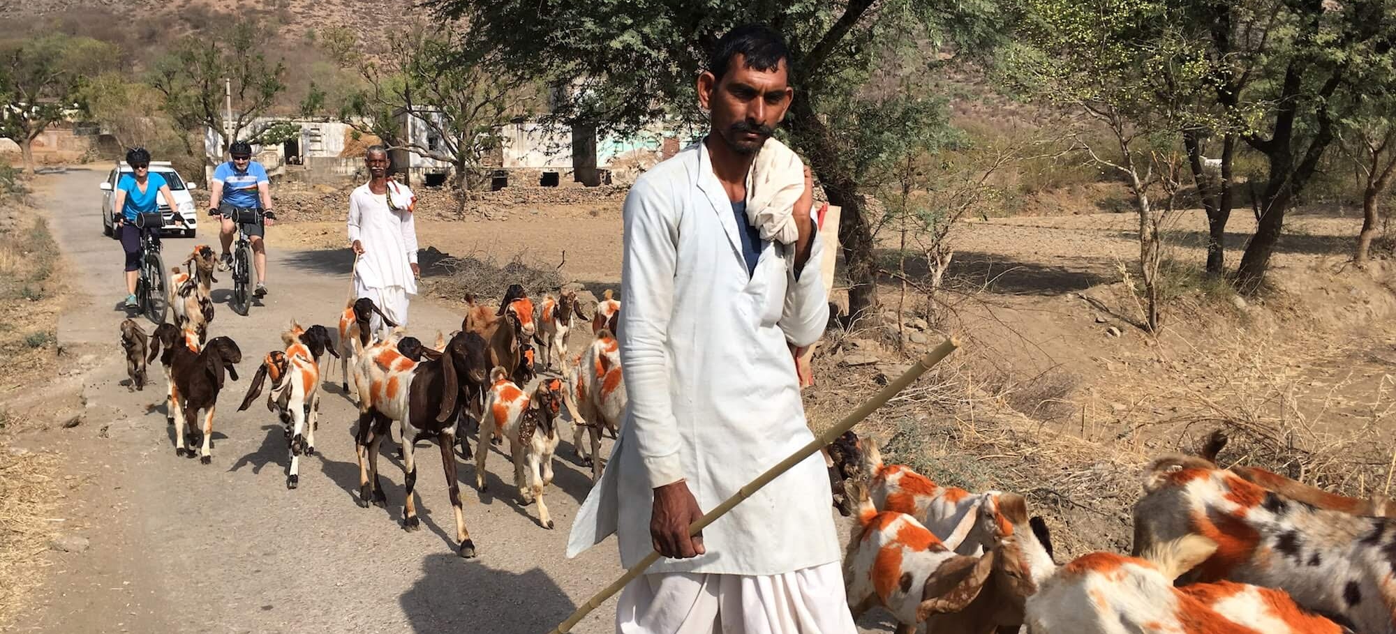 rajasthan bike tour 6