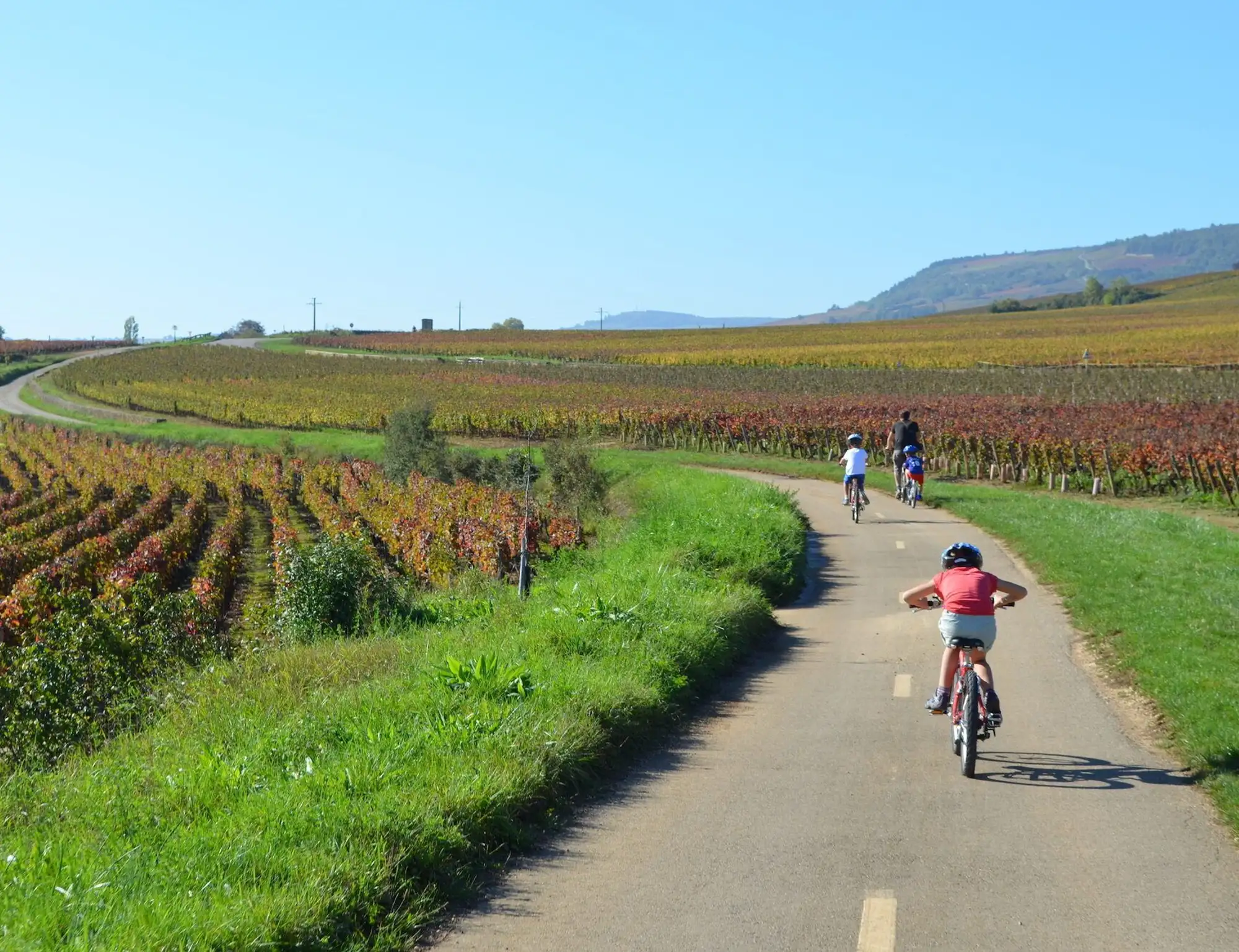 Self-guided Burgundy Wine Country Bike Tour