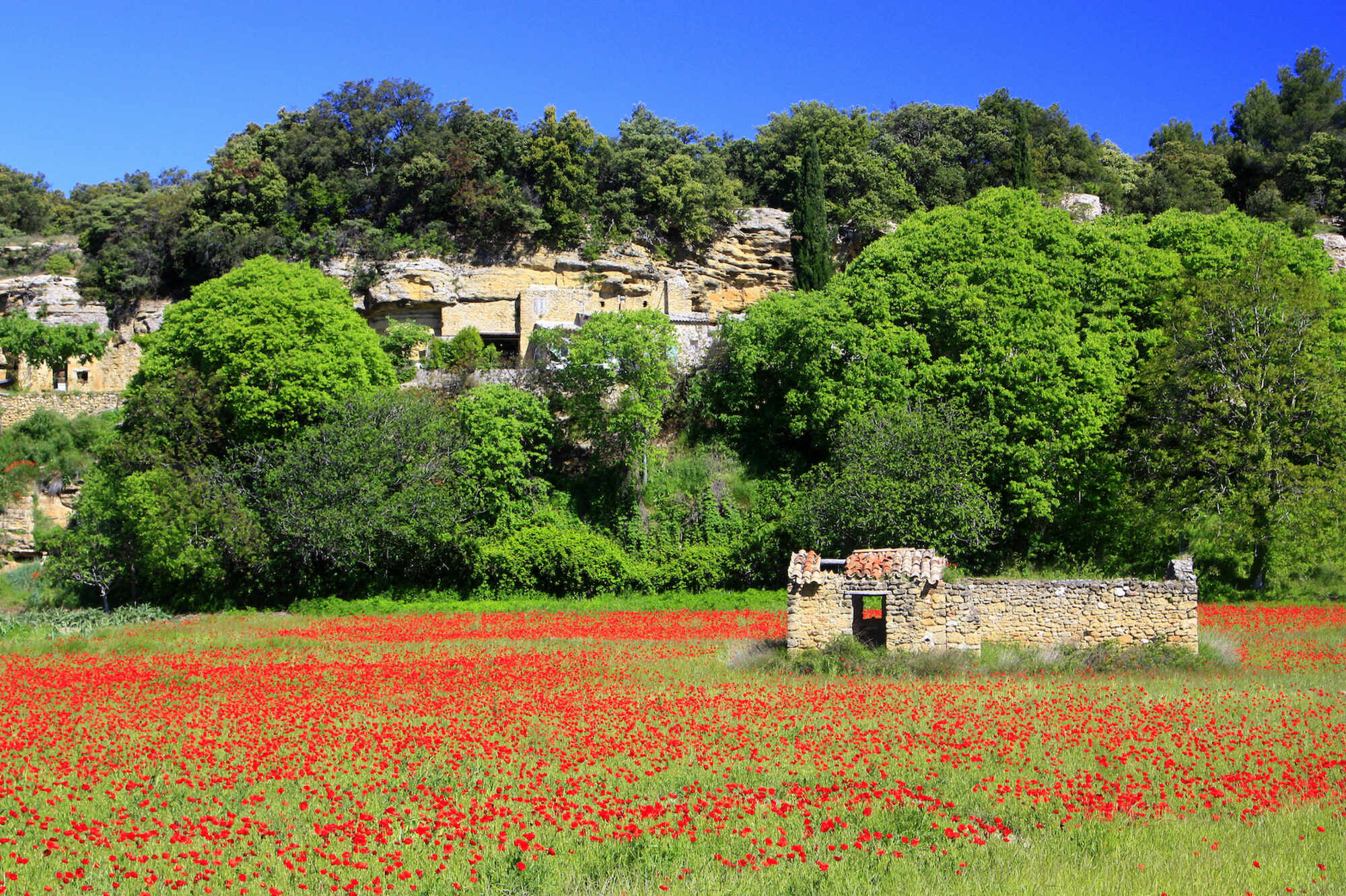 Itinerary Image