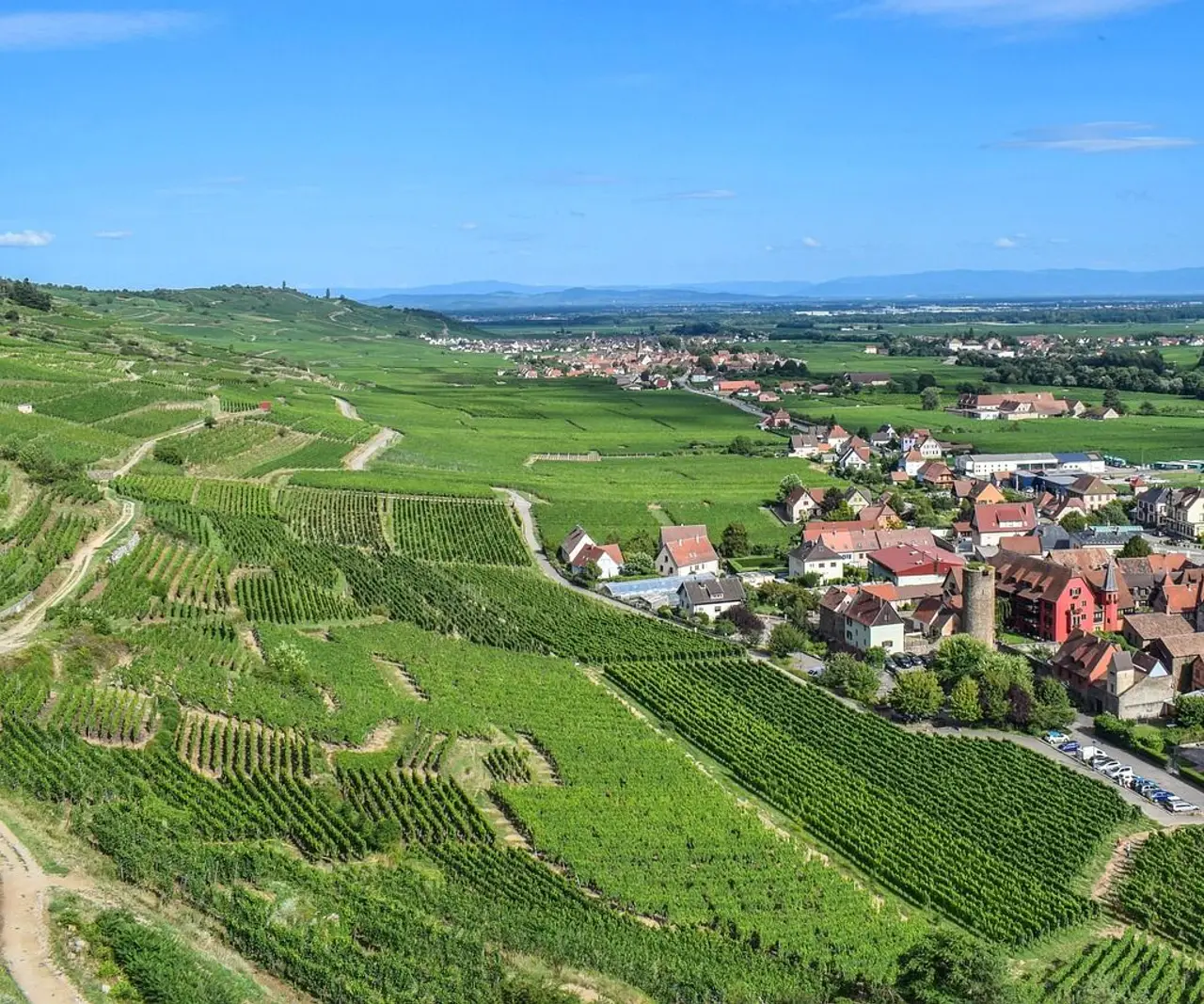 ben_kerckx alsace 4646778_1280