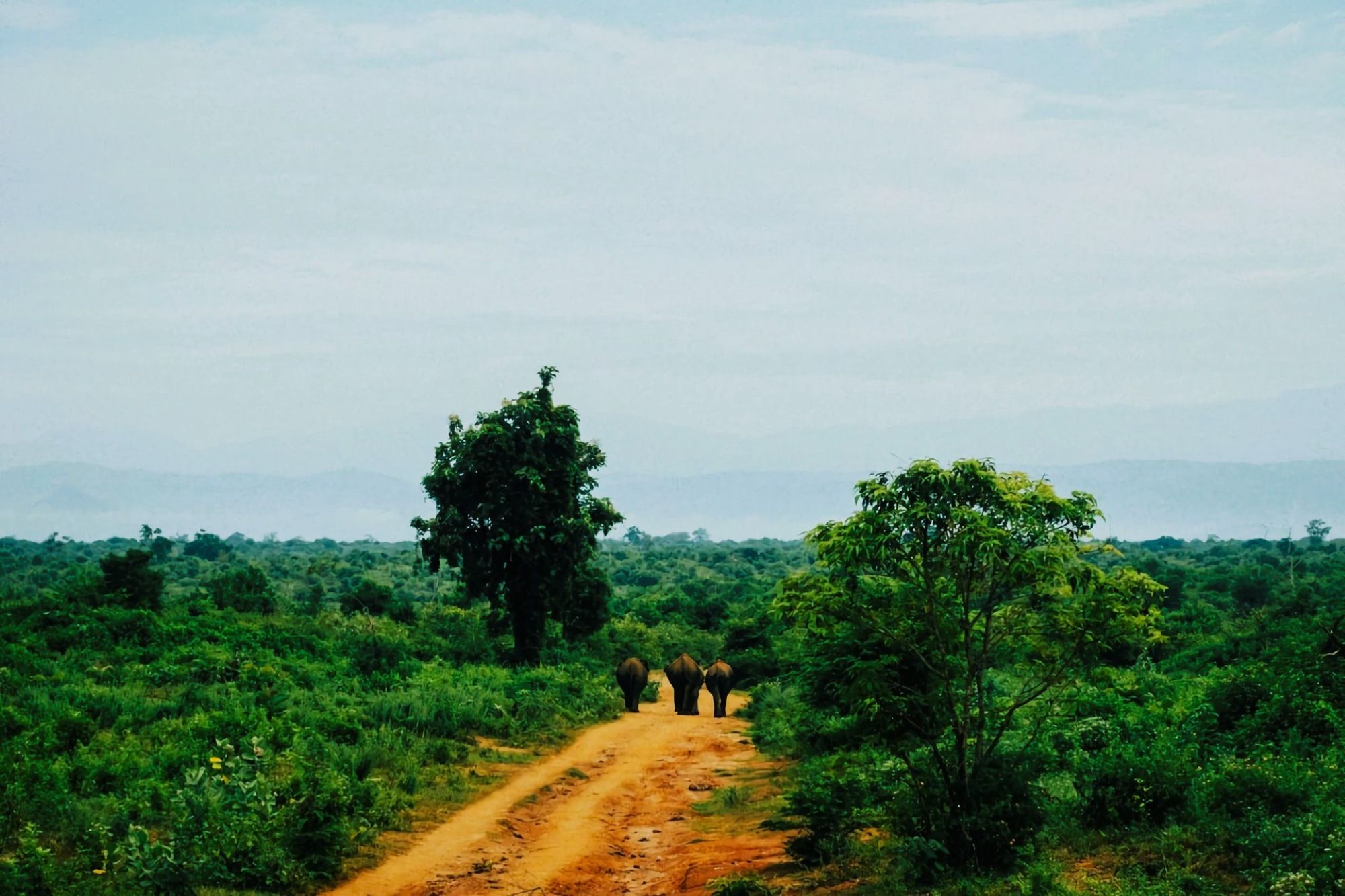 Itinerary Image