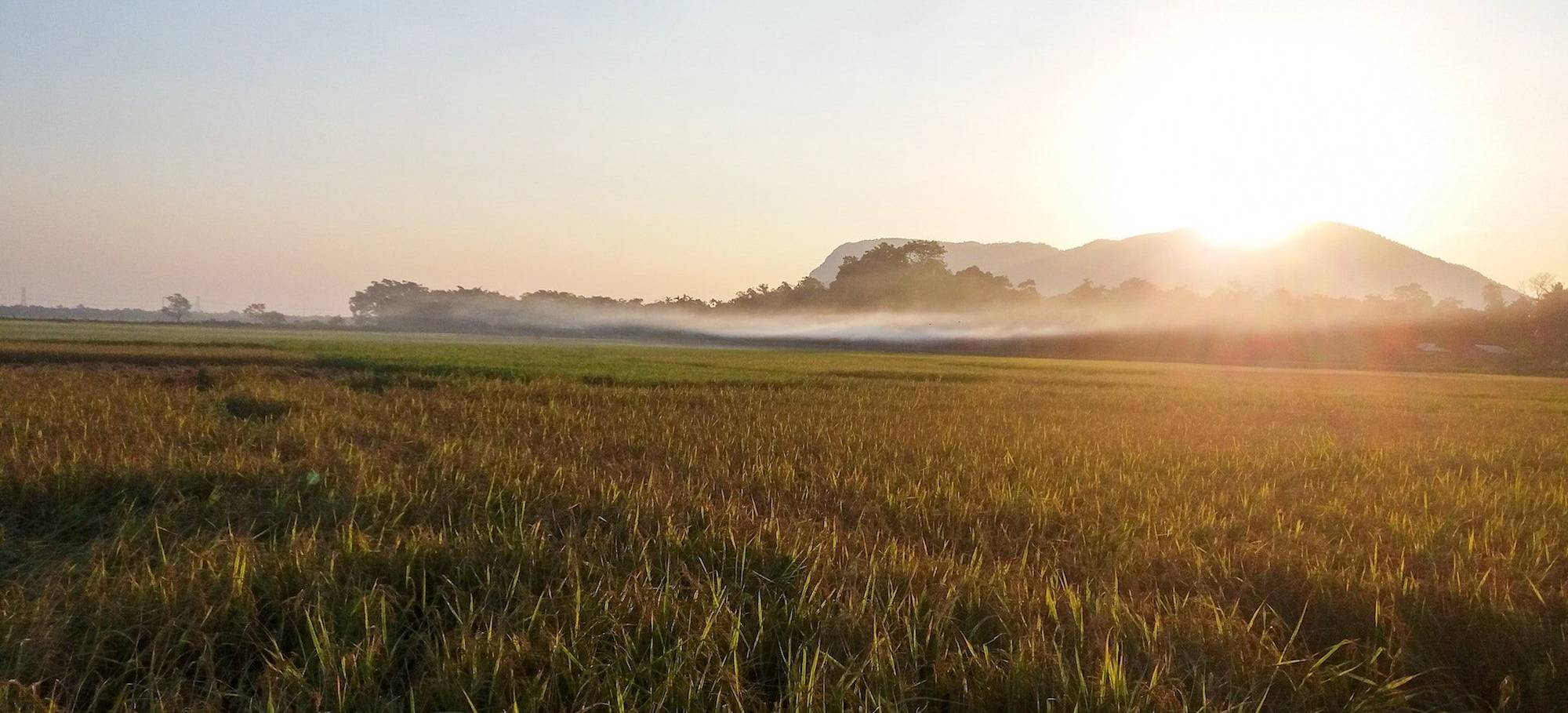 assam_cycling_23