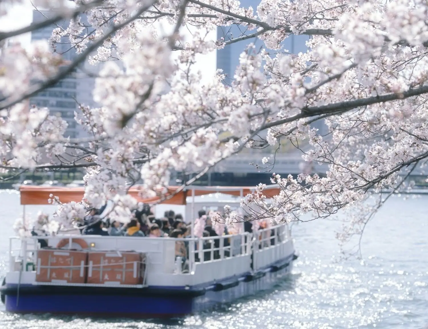 Shikoku and Kyushu Bike Tour