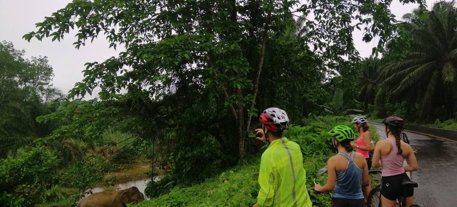 thailand bike tour 53