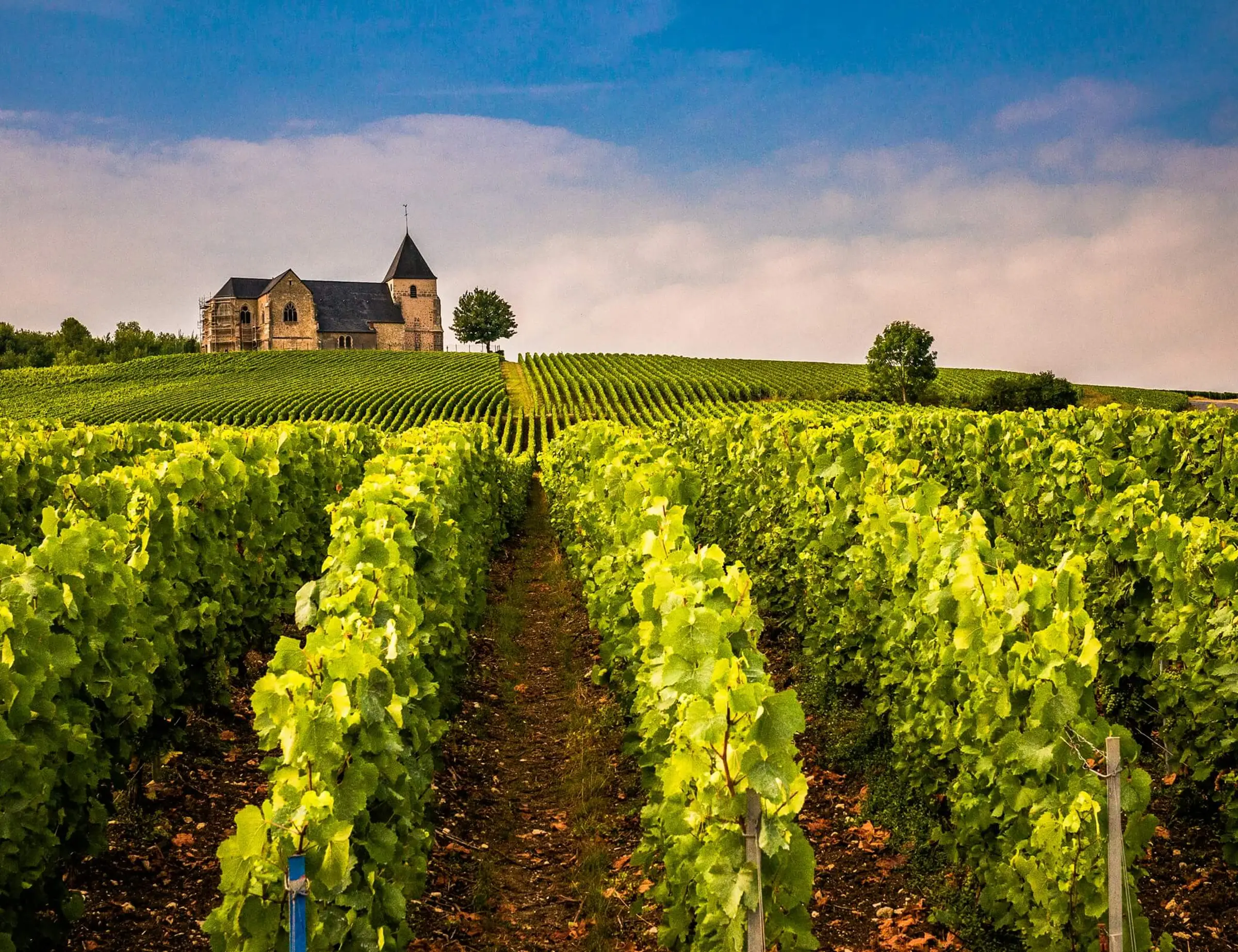 Champagne Wine Country Bike Tour