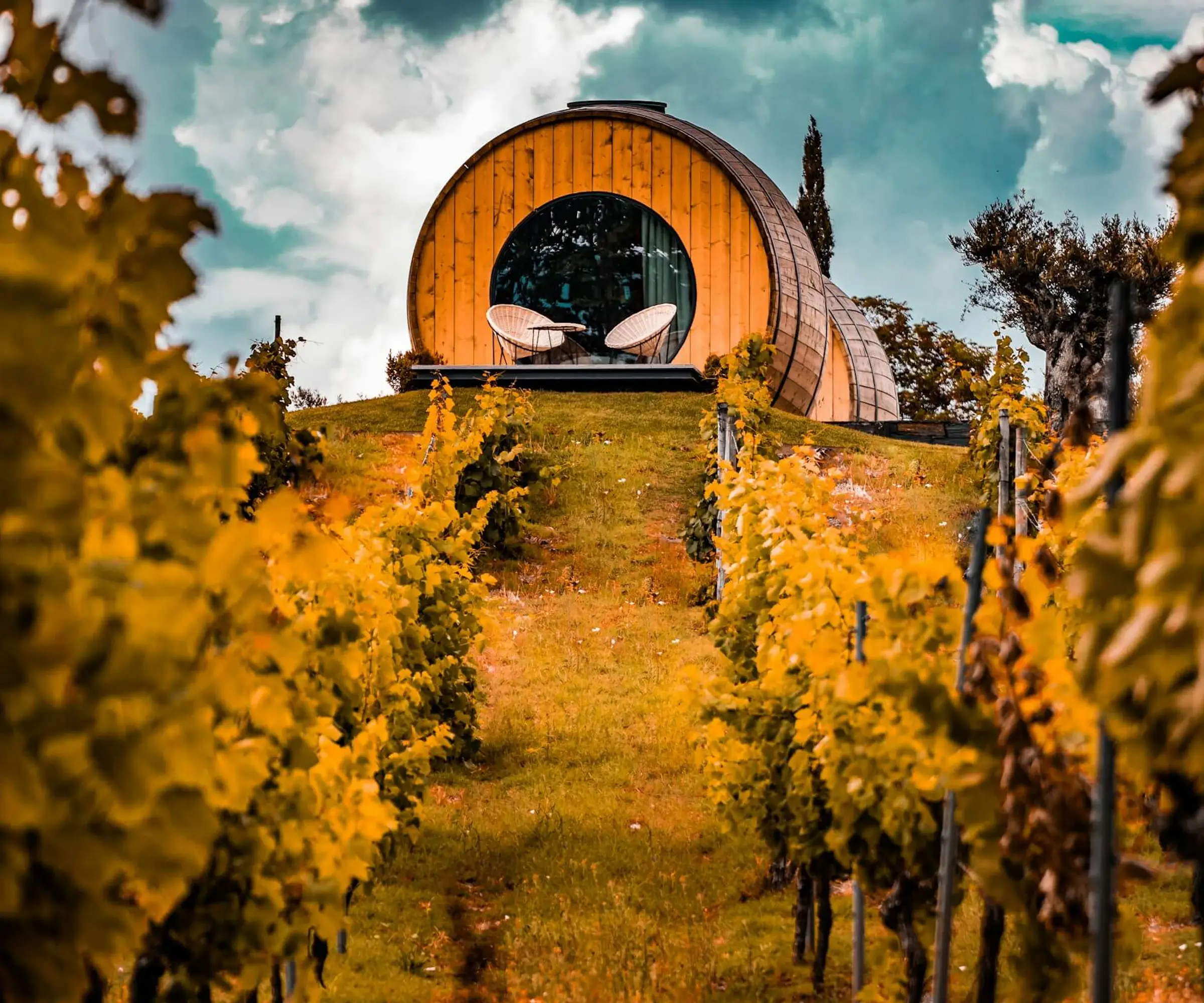 douro valley_unsplash