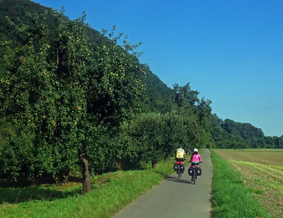 Koblenz to Saarburg Moselle Cycle Path Bike and Barge Tour