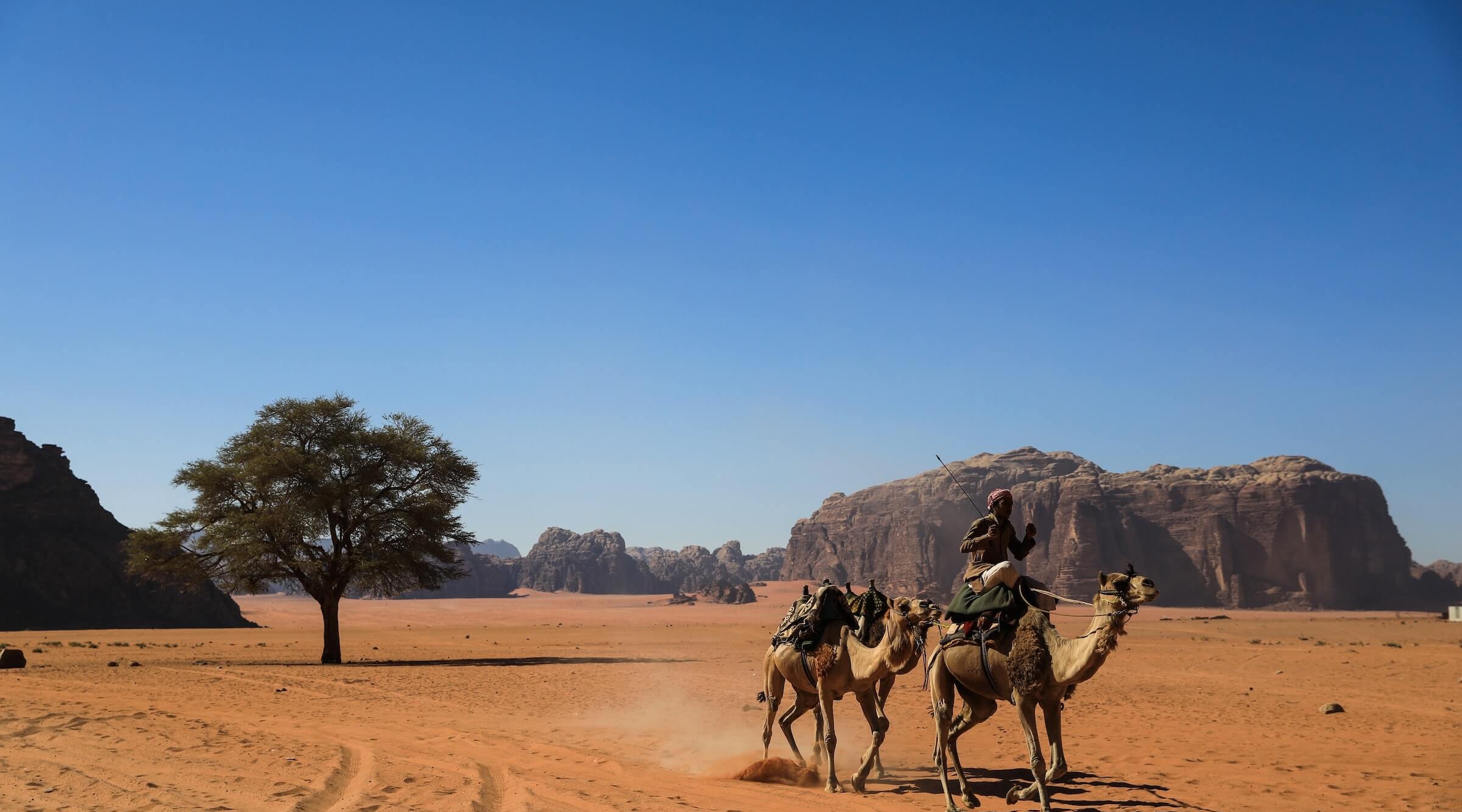 jordan wadi rum (1)