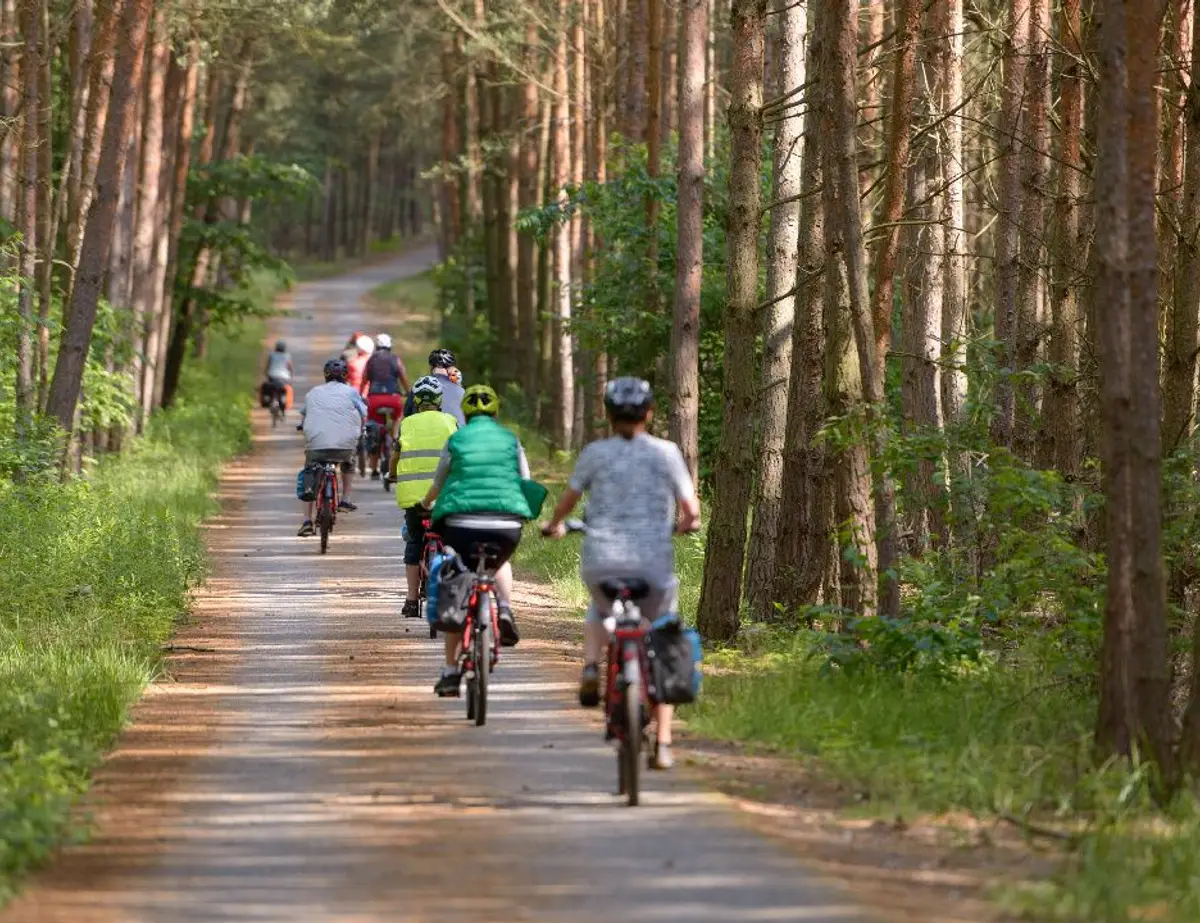 Dutch Hanseatic Cities Amsterdam Loop Bike and Boat Tour