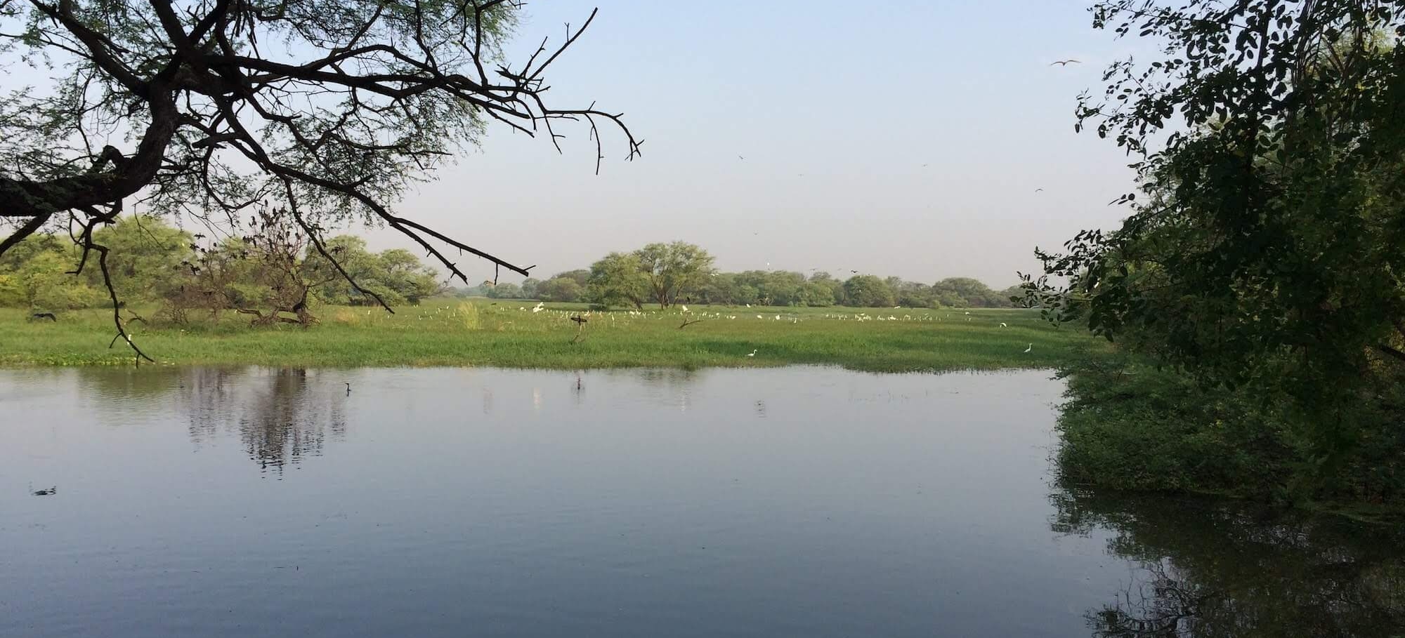 rajasthan bike tour 3